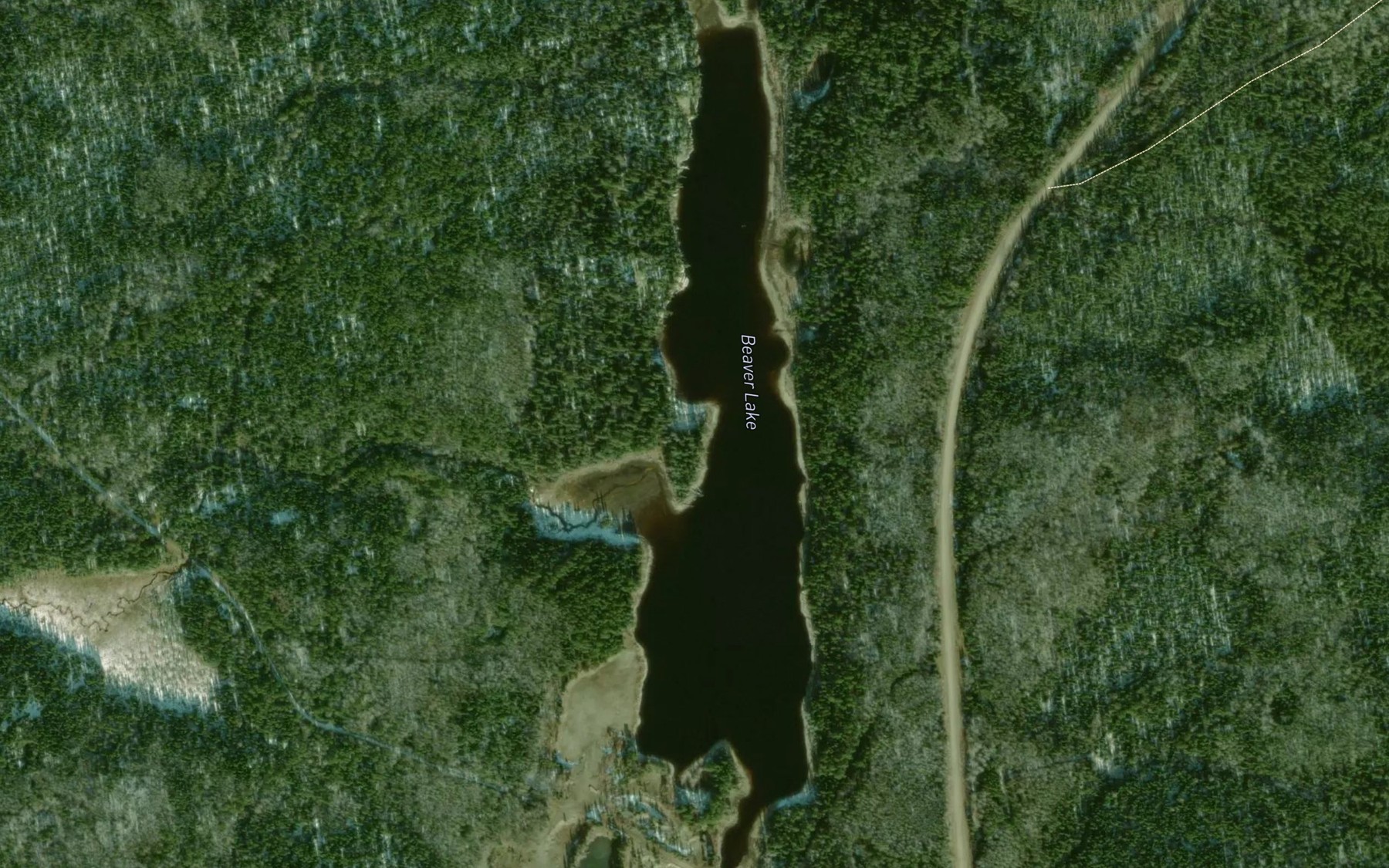 Satellite map of the Beaver Lake