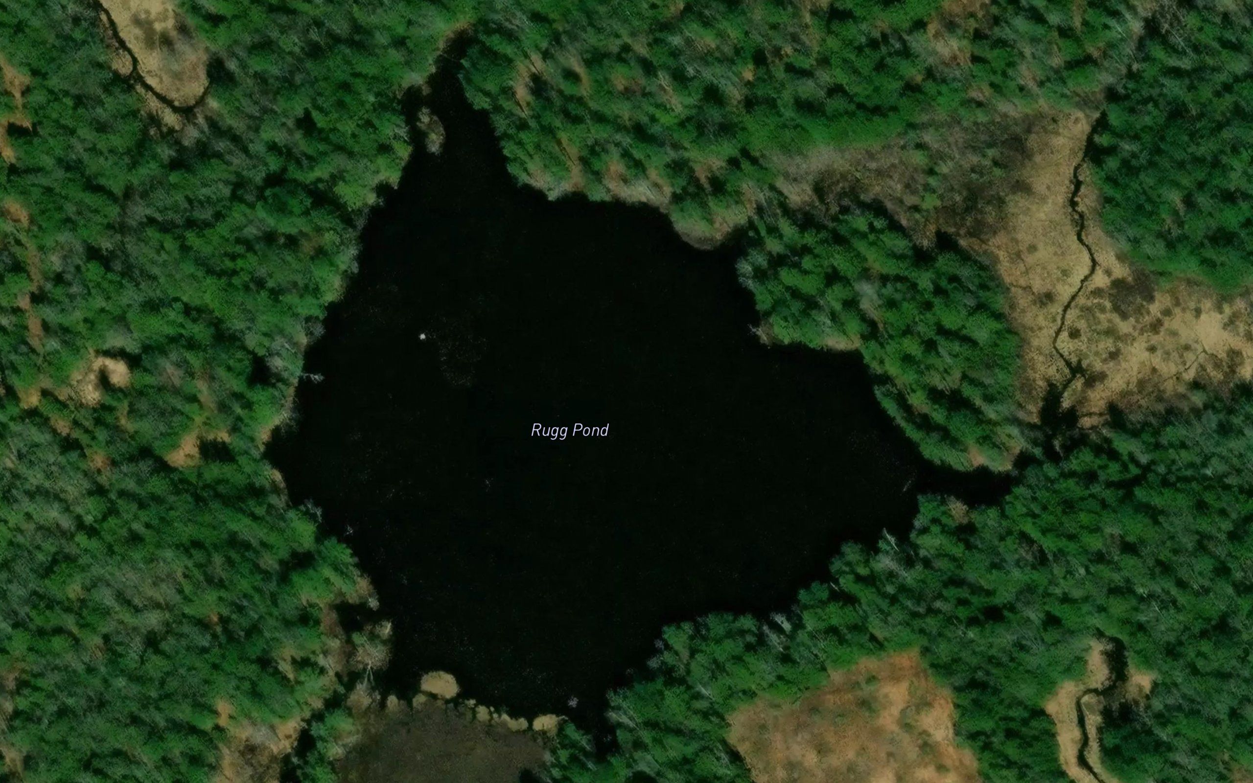 Rugg Pond