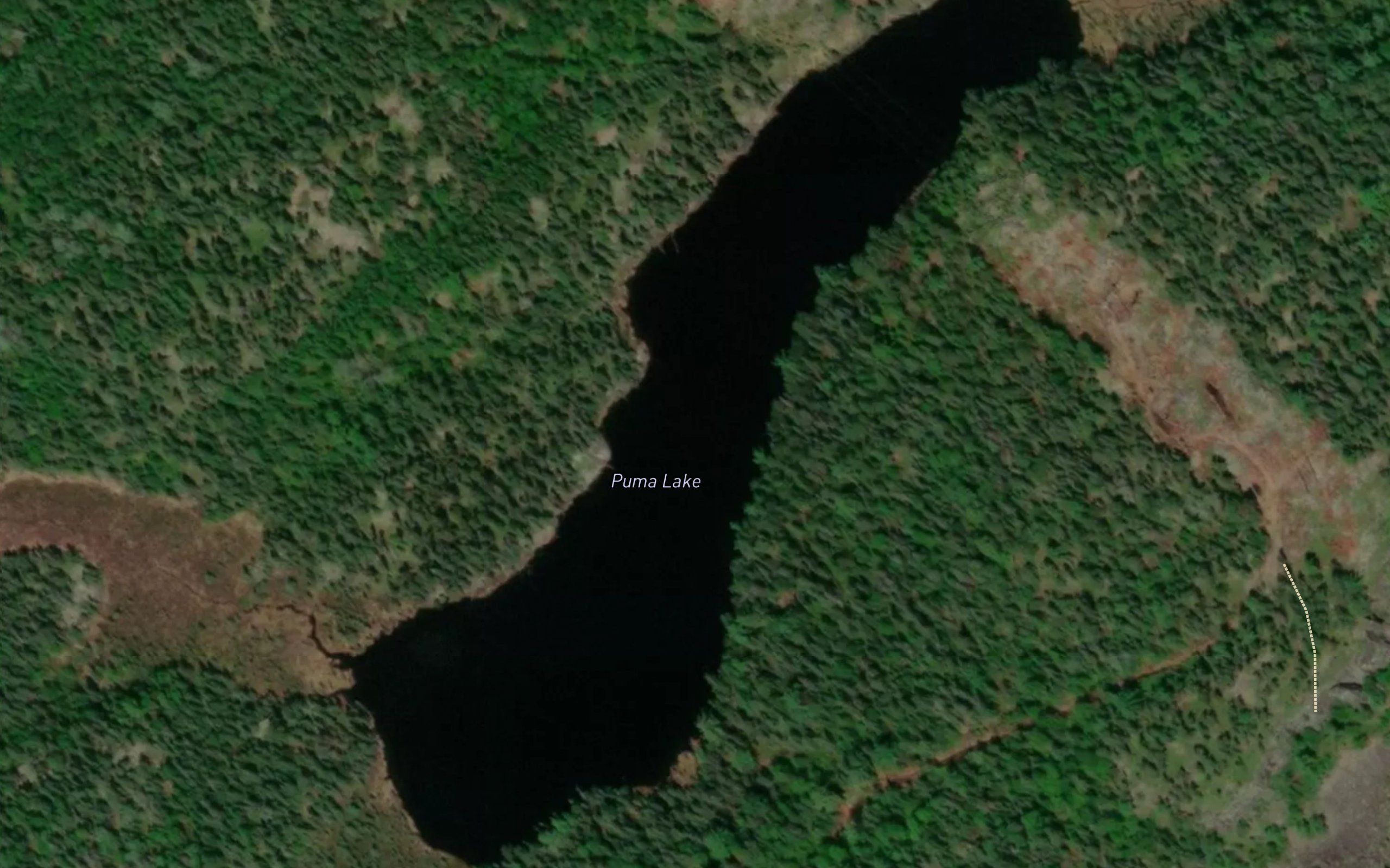 Puma Lake