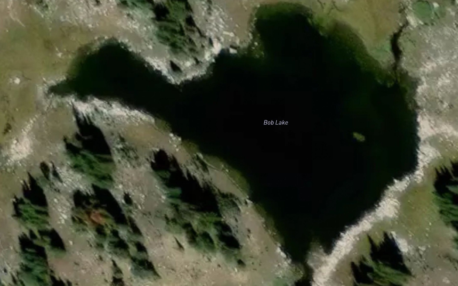 Satellite map of the Bob Lake