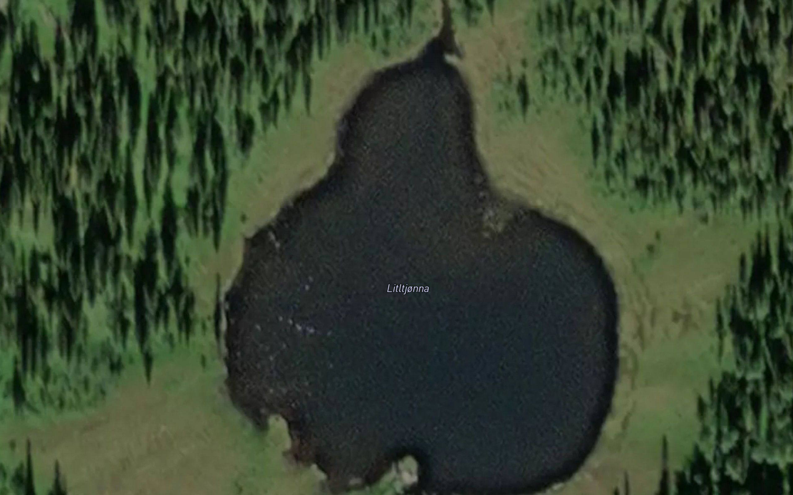 Litltjorna