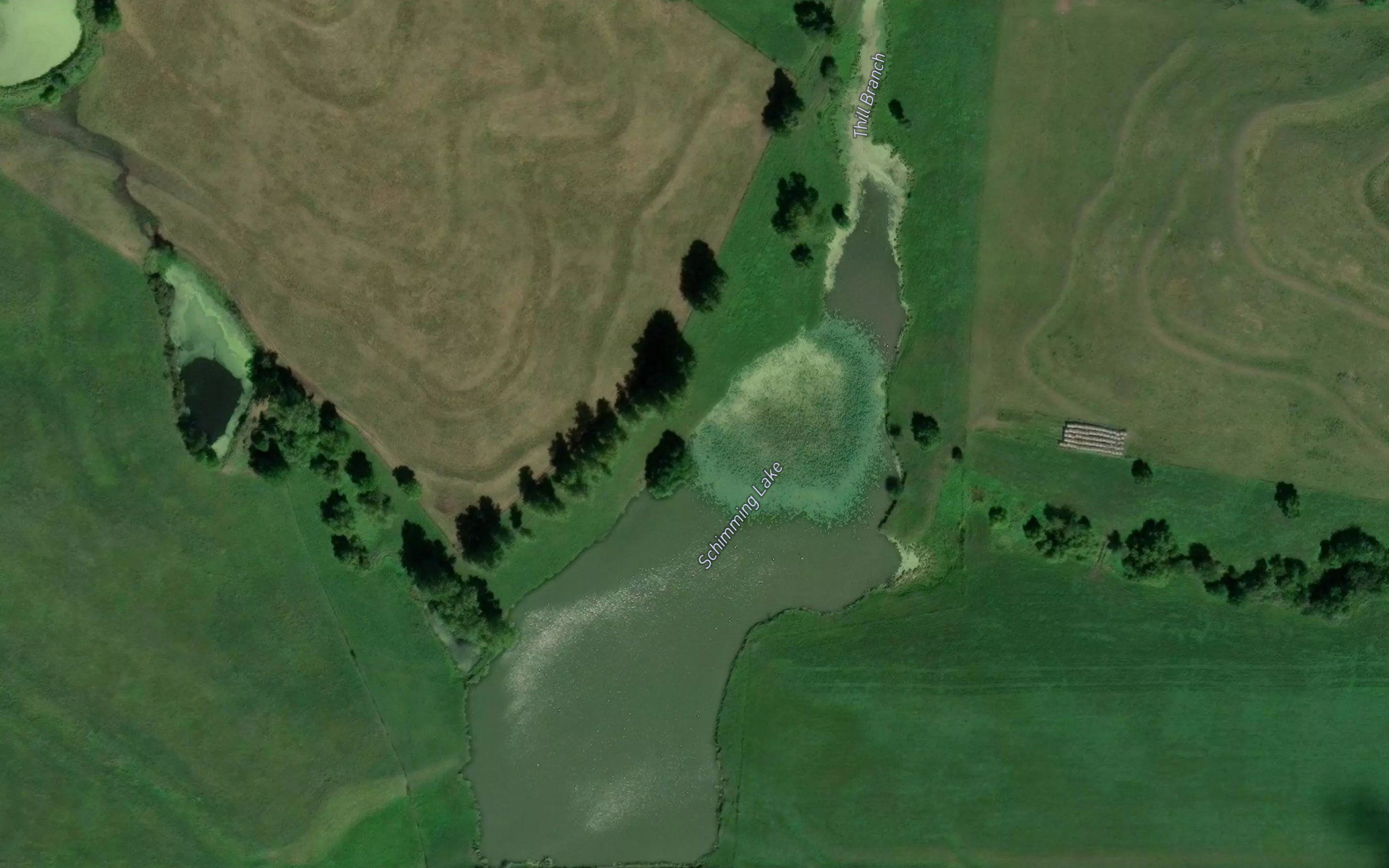 Schimming Lake