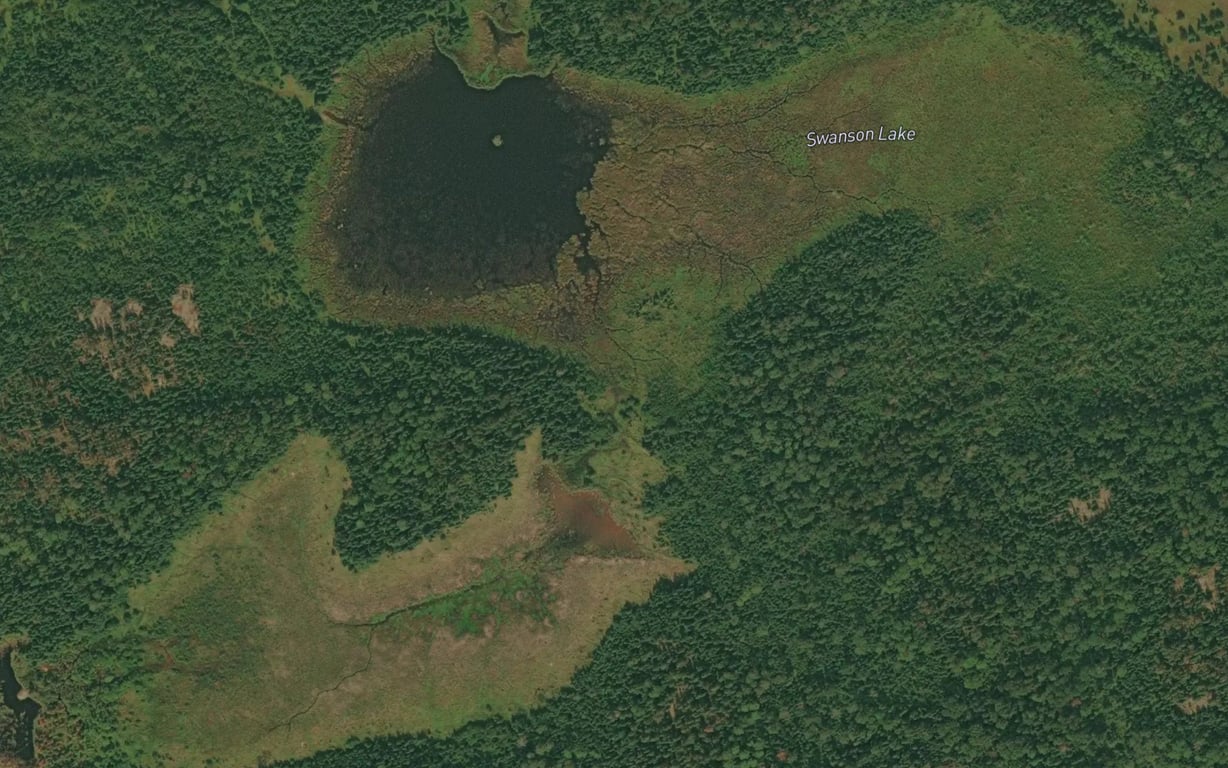 Swanson Lake Fishing near Dryden | Fishbox