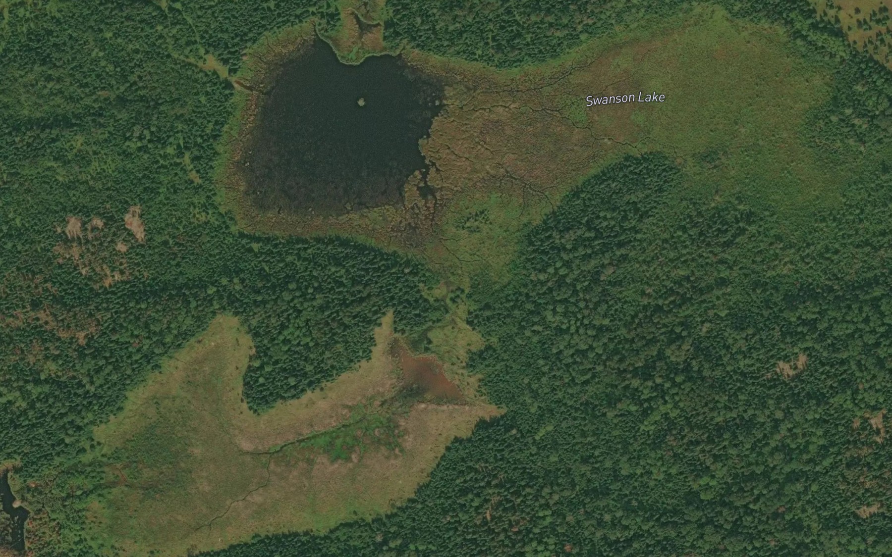 Satellite map of the Swanson Lake