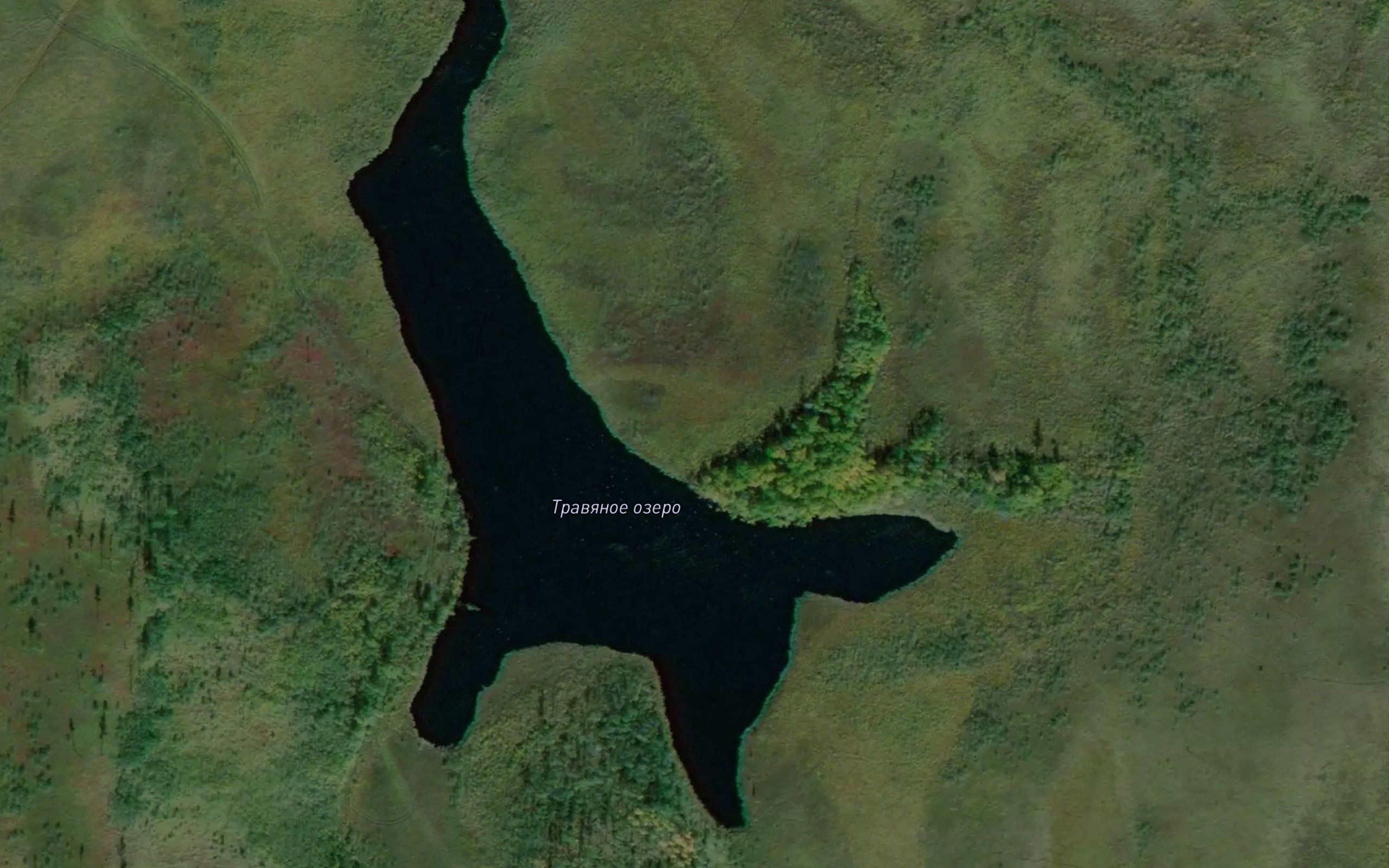 Ozero Travyanoye