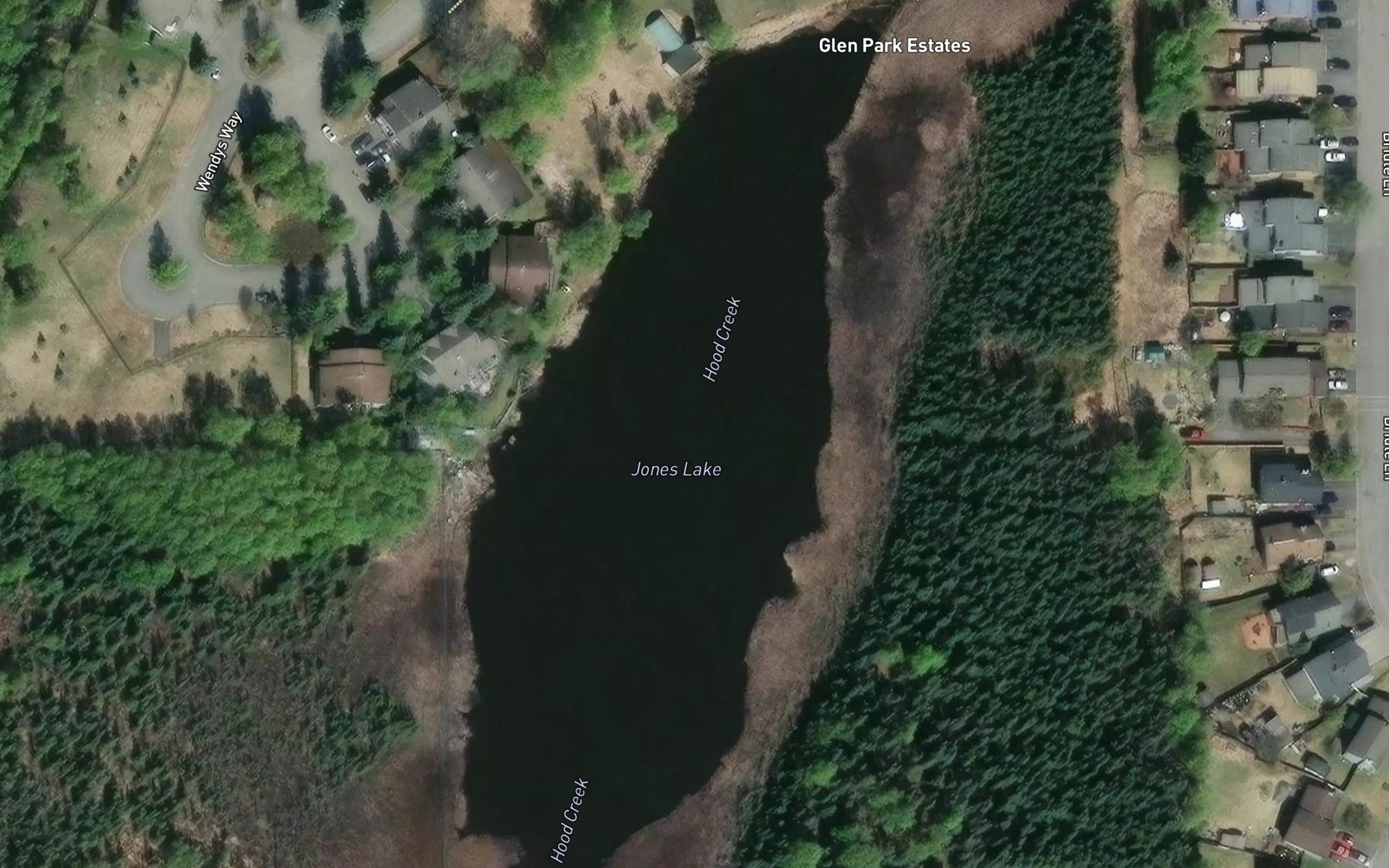 Satellite map of the Jones Lake