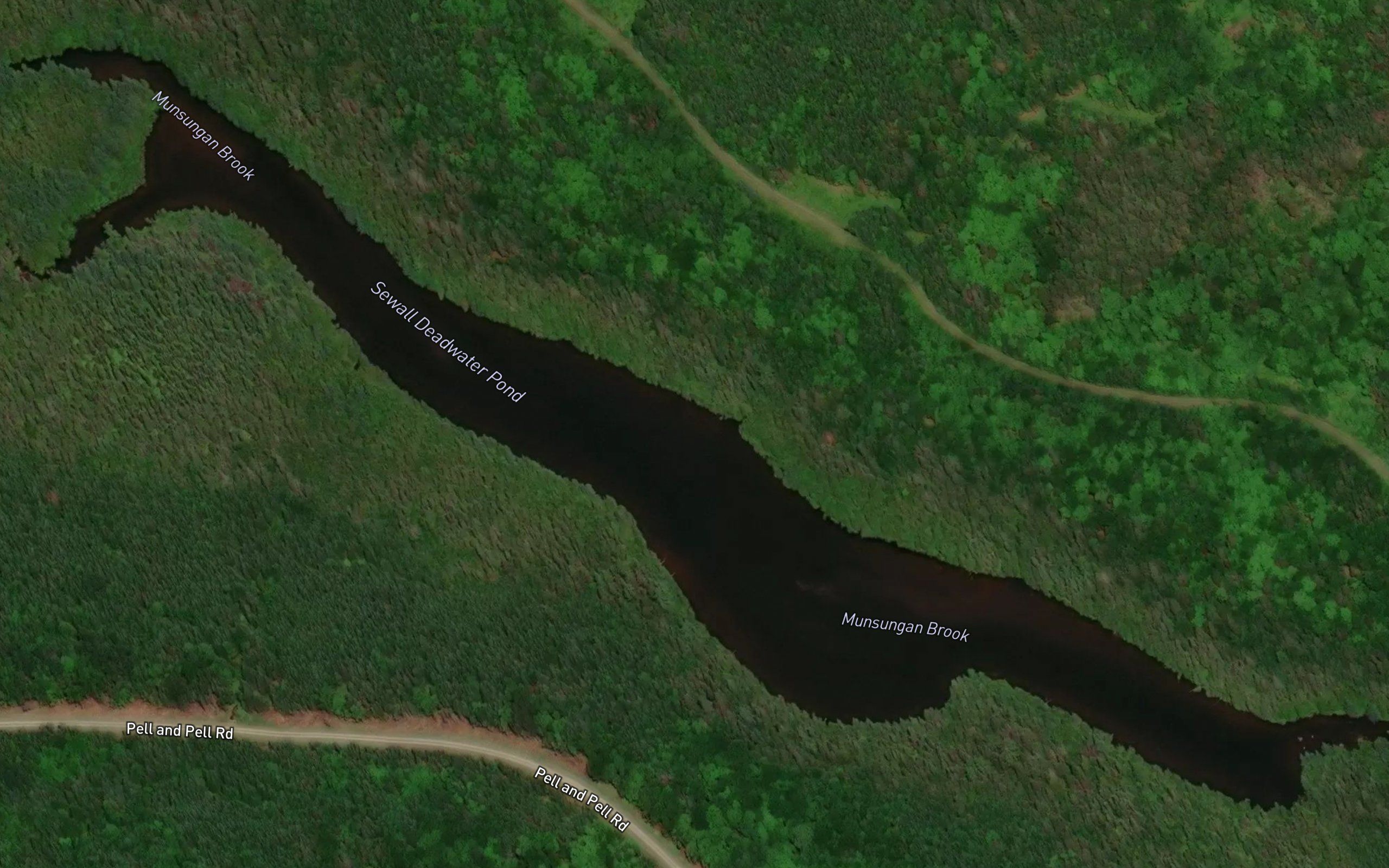 Sewall Deadwater Pond