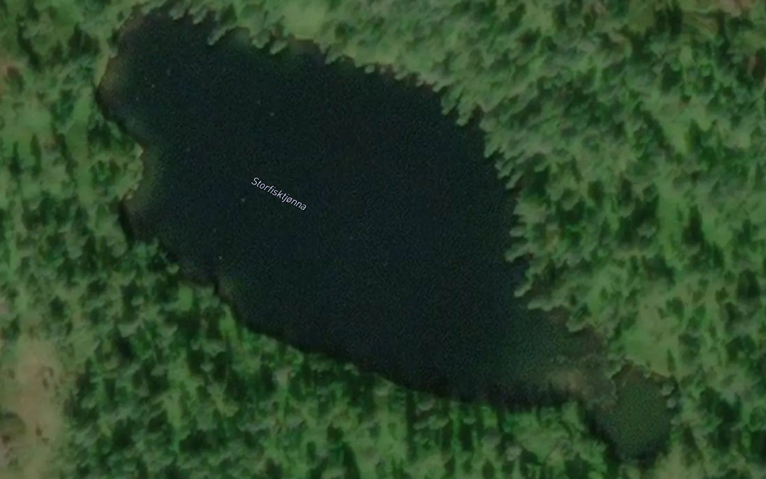 Storfisktjonna