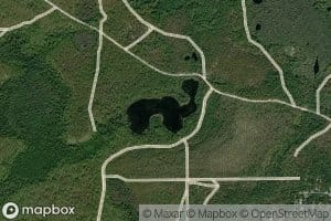 Dog Pond