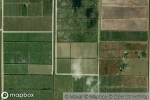 Pasco Packing Company Lake