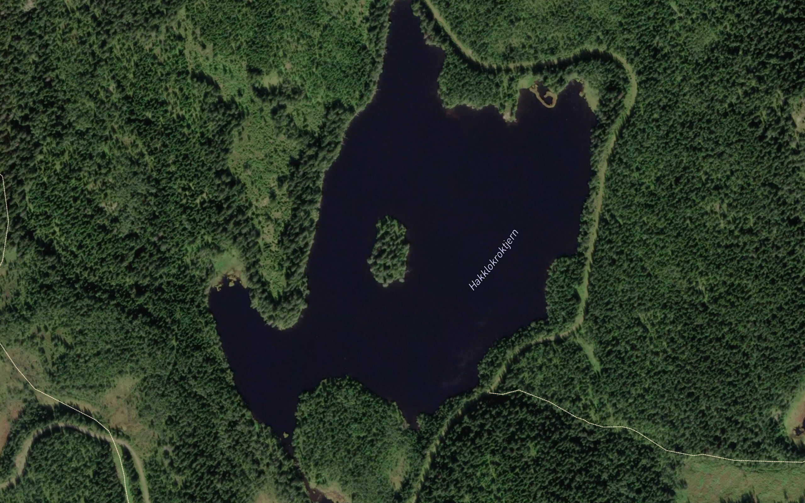 Hakklokroktjernet