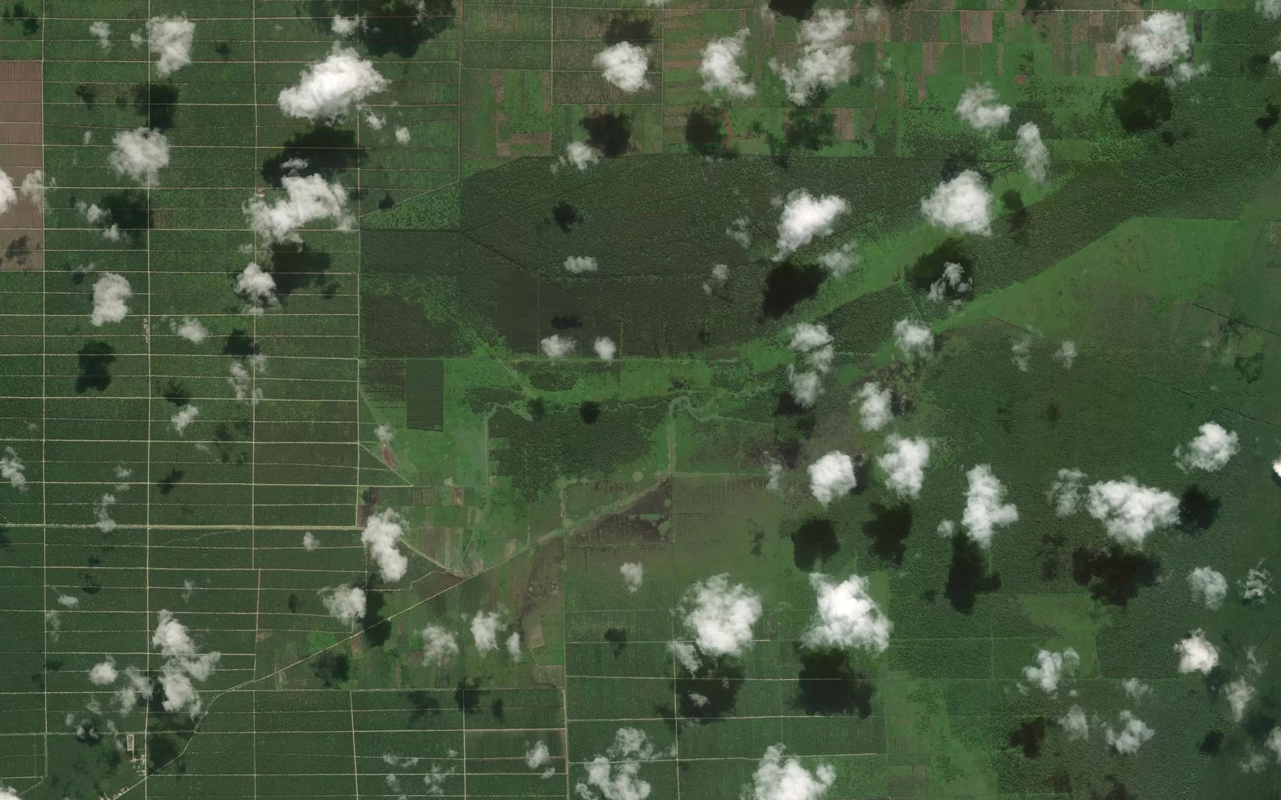 Satellite map of the Sungai Meranti