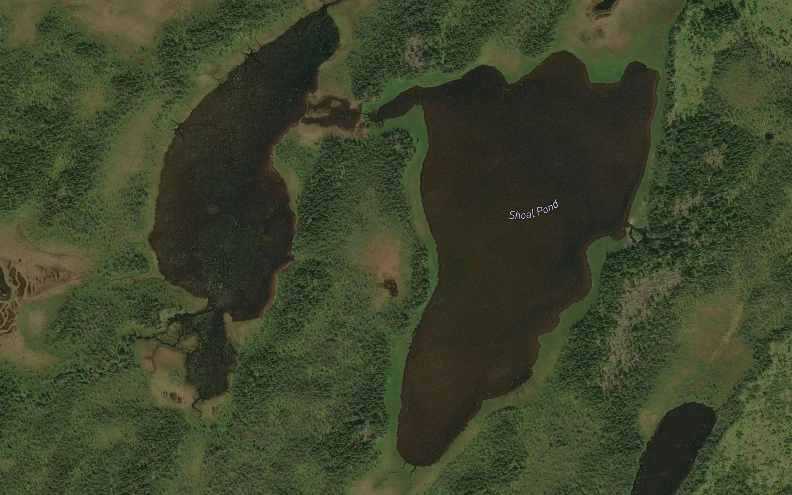 Shoal Pond