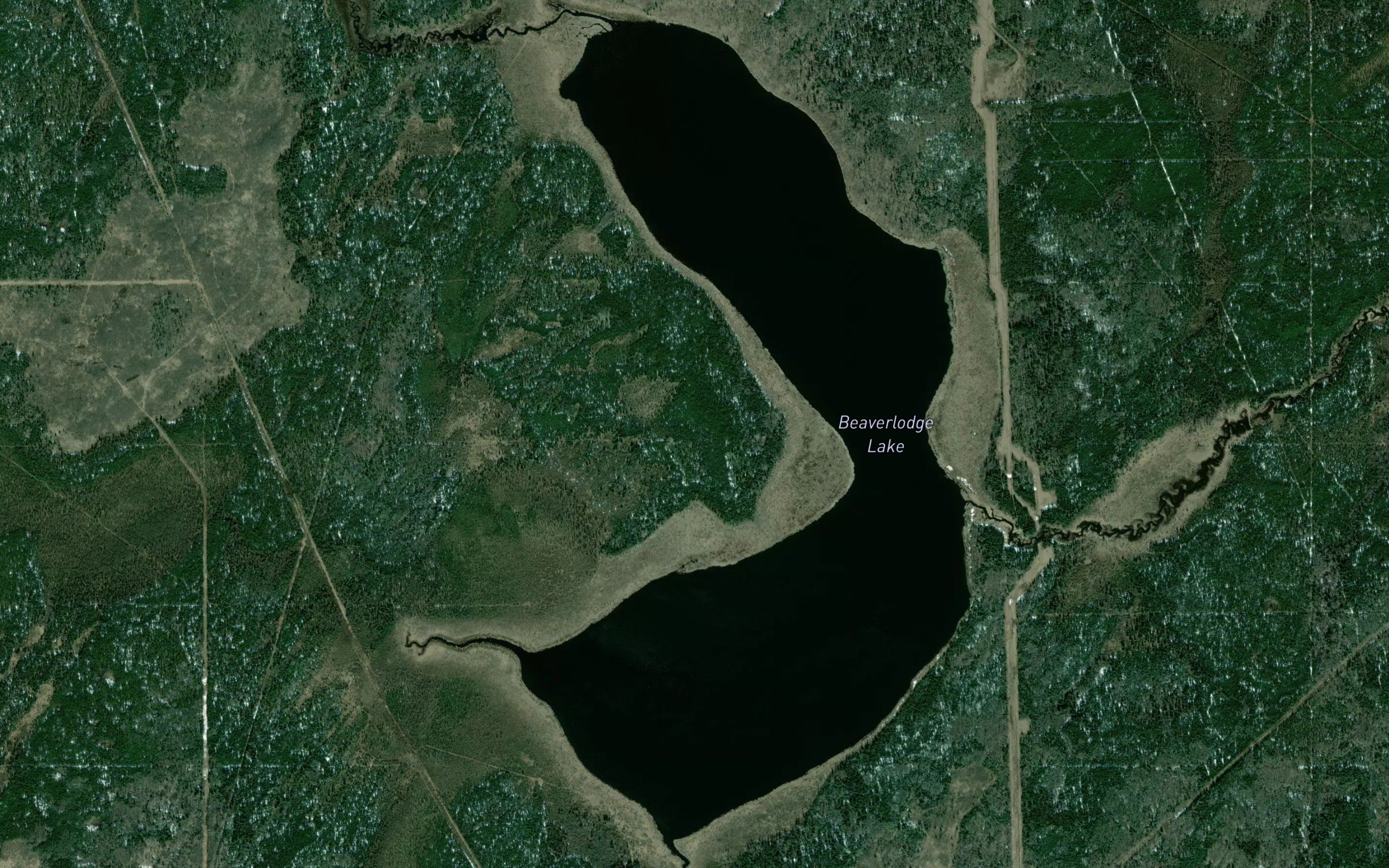 Beaver Lodge Lake