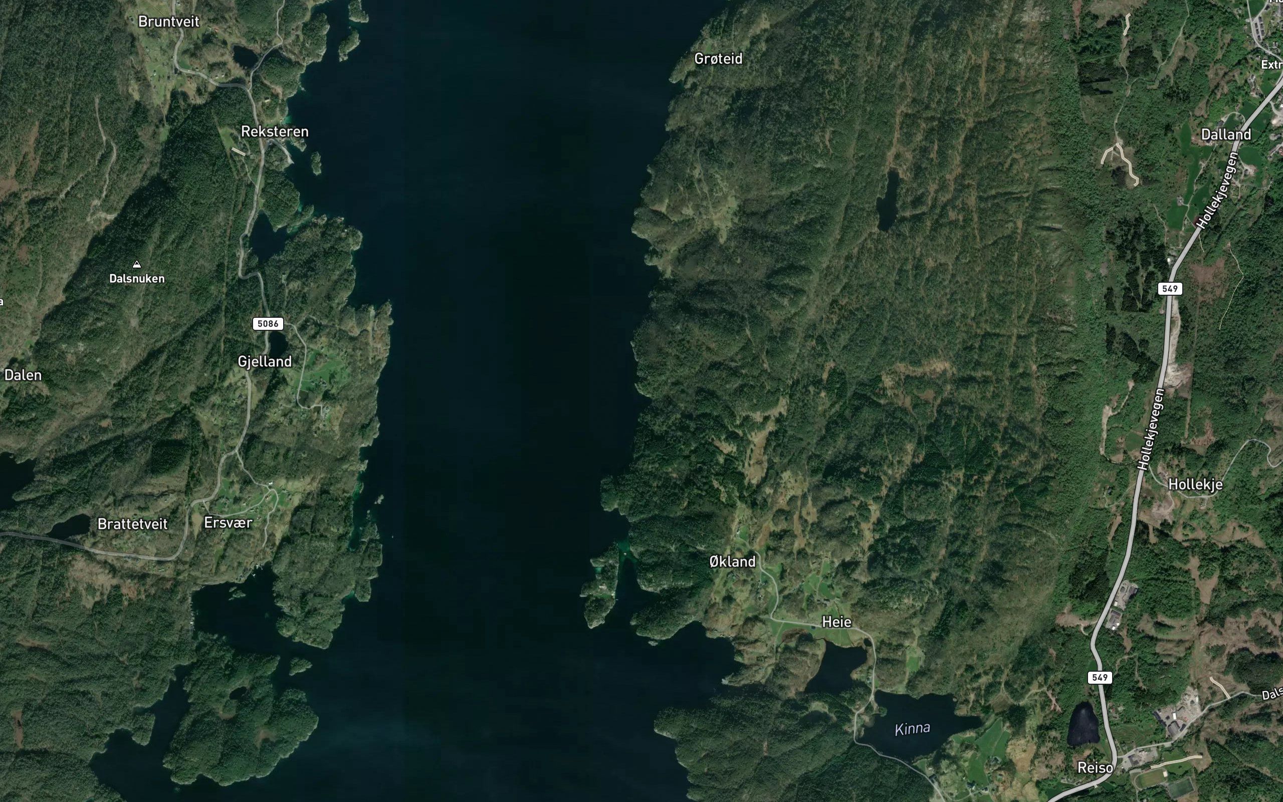 Borsvika