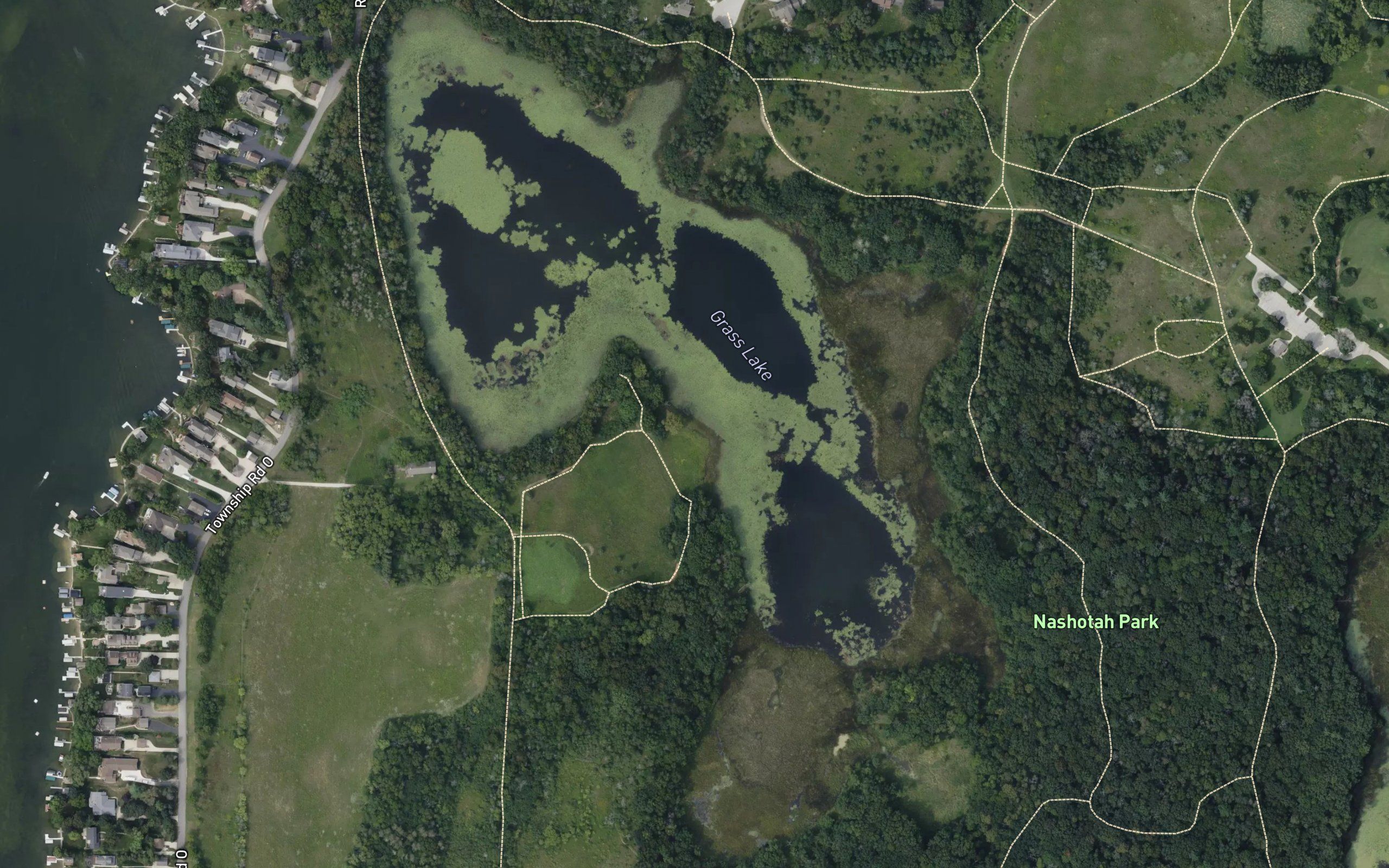 Grass Lake