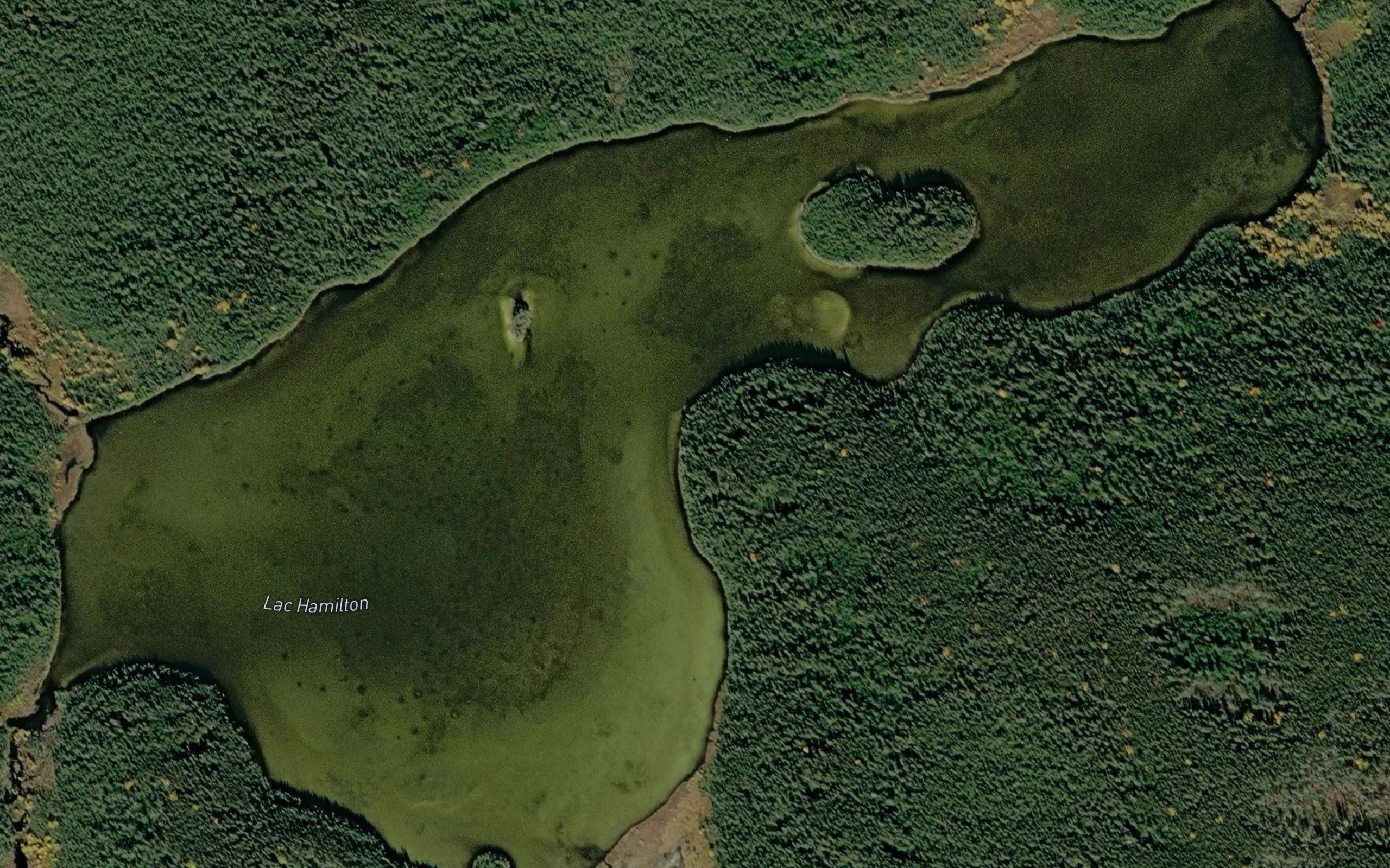 Lac Hamilton