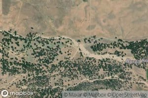 Rice Creek