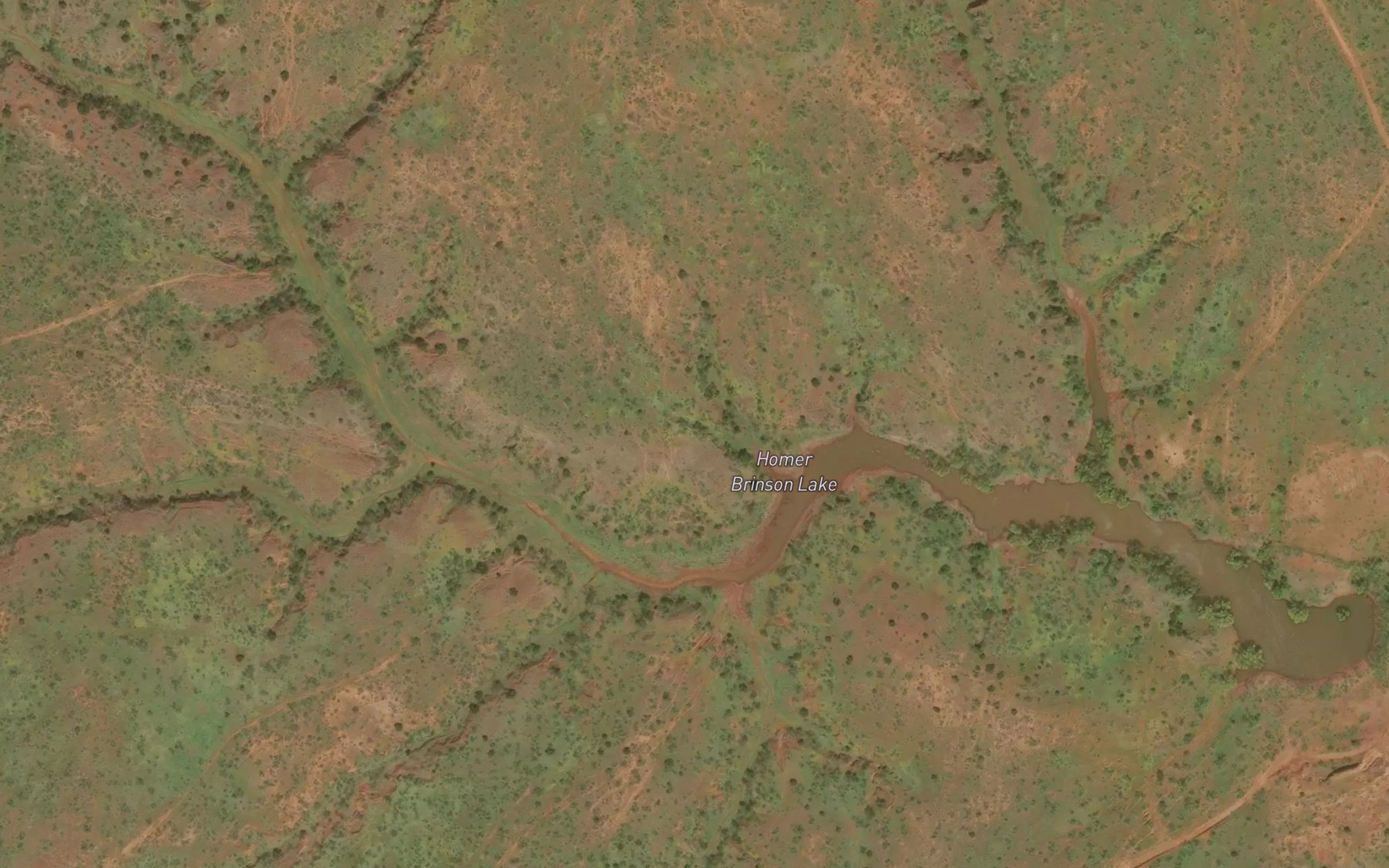 Satellite map of the Homer Brinson Lake