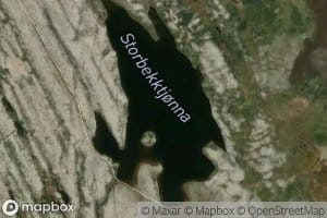 Storbekktjonn