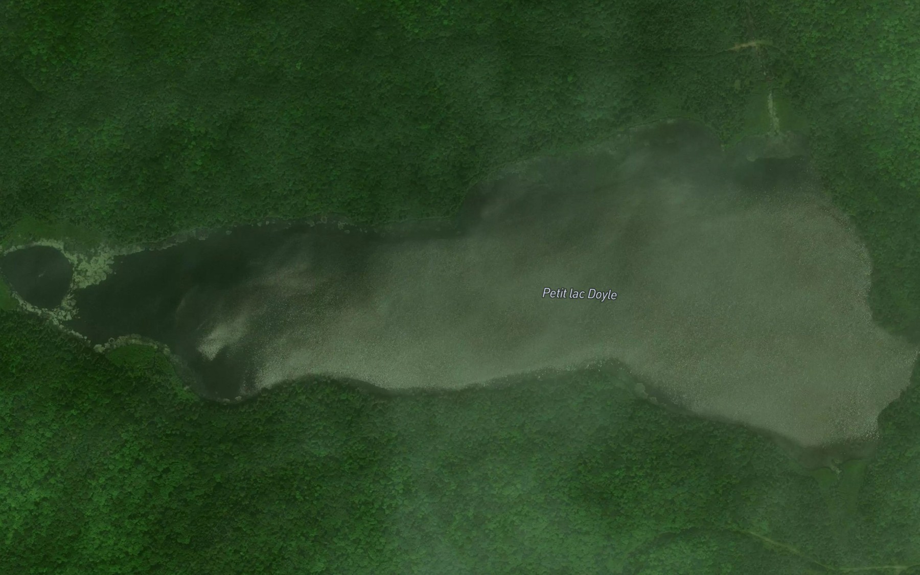 Satellite map of the Petit lac Doyle