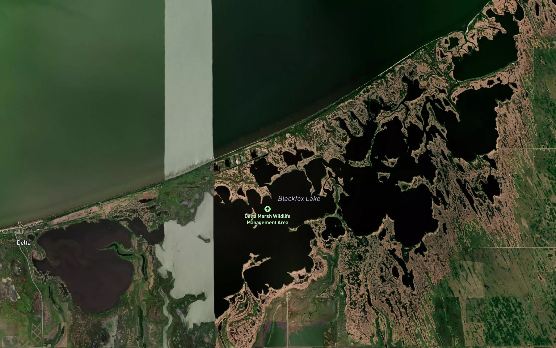Satellite map of the Blackfox Lake
