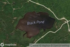 Black Pond