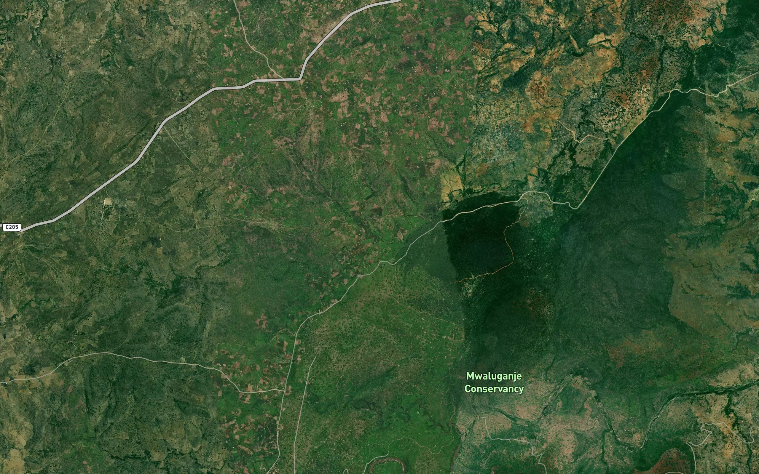 Tsahuni Mikokoni