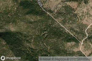 Upper Spring