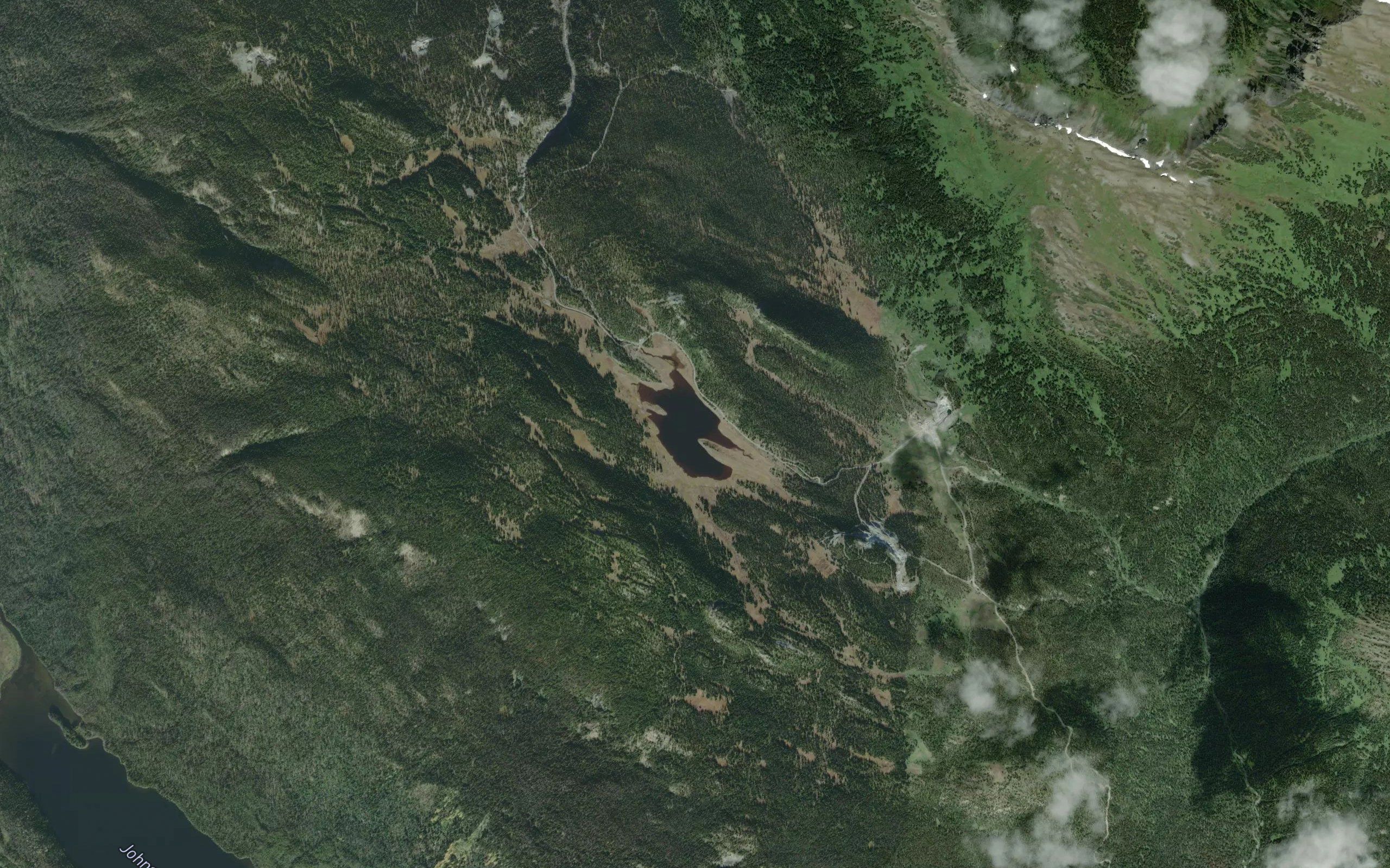 Squawkbird Lake