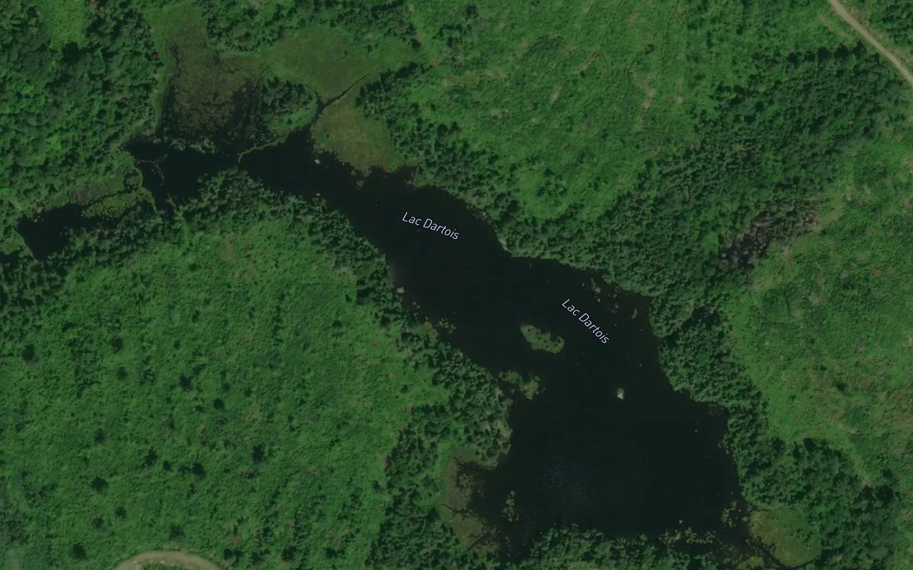 Satellite map of the Lac Dartois