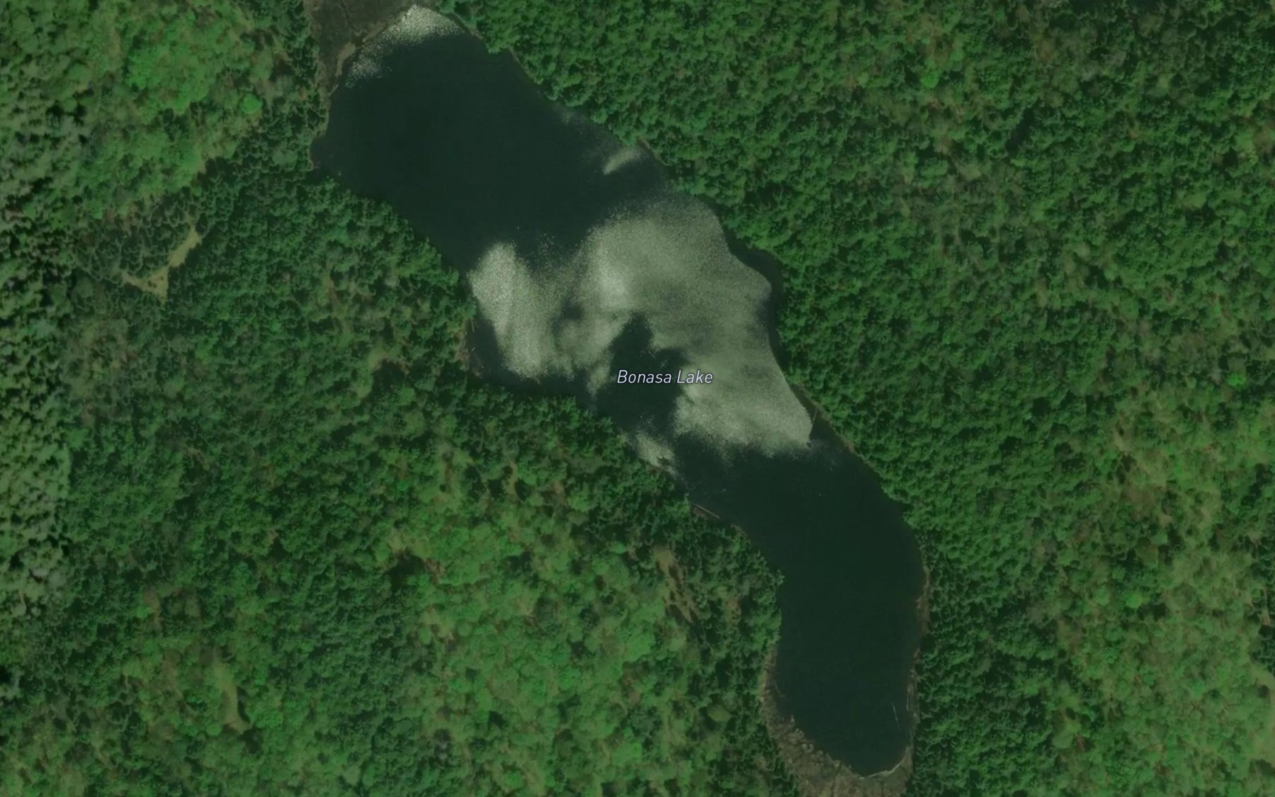 Satellite map of the Bonasa Lake
