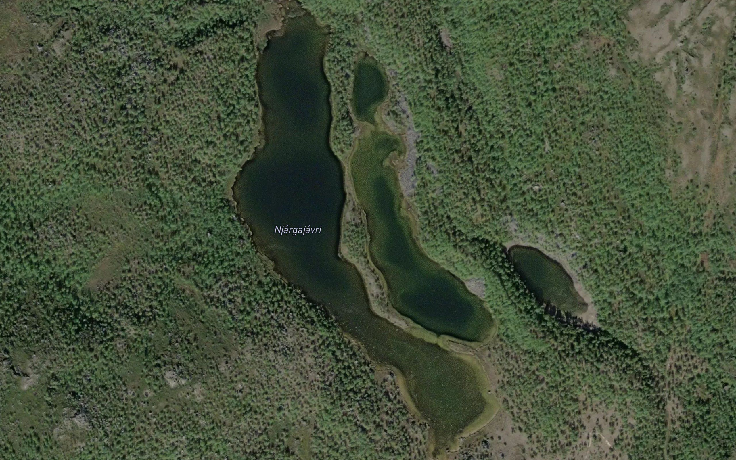 Njargajavri