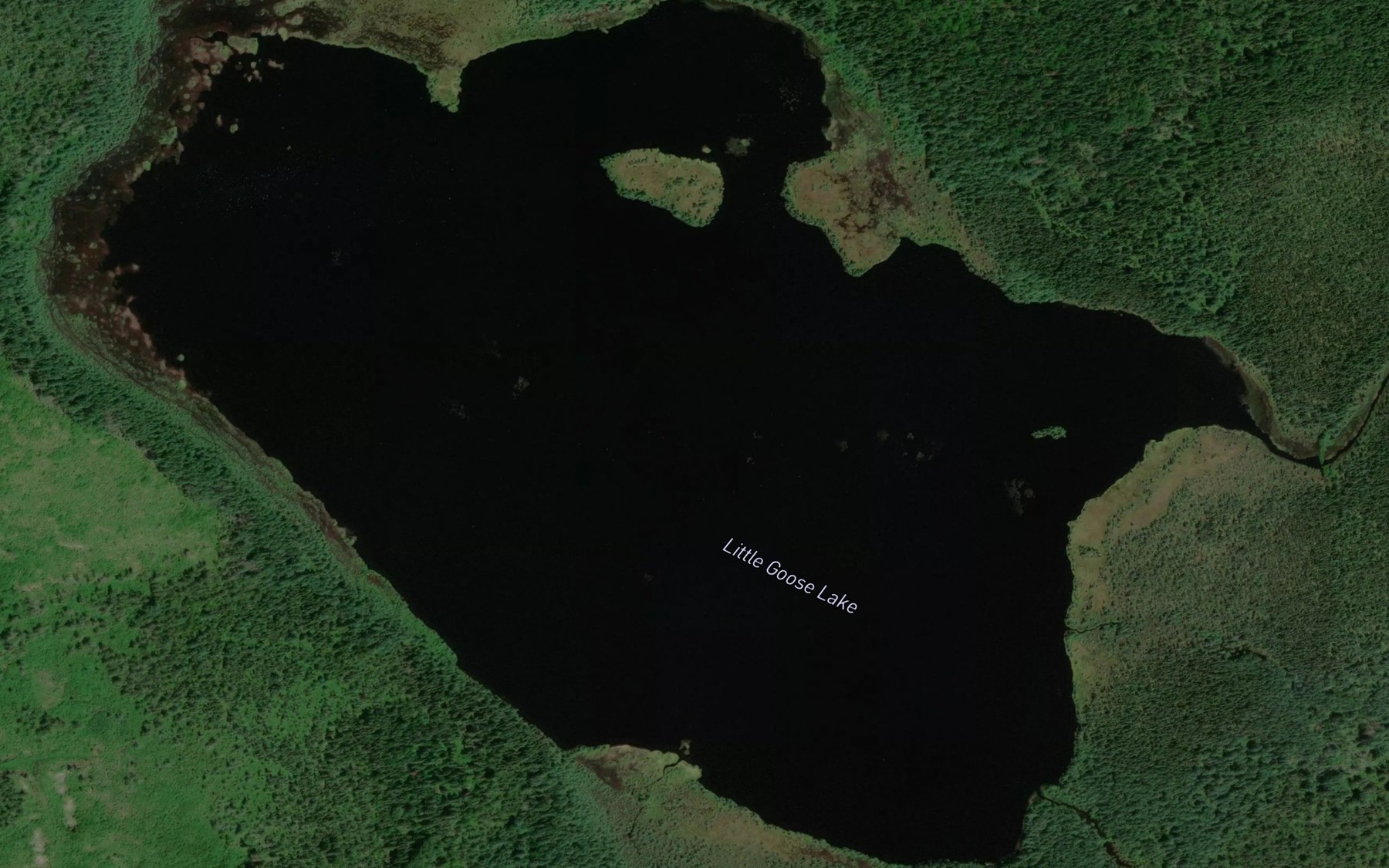 Satellite map of the Little Goose Lake