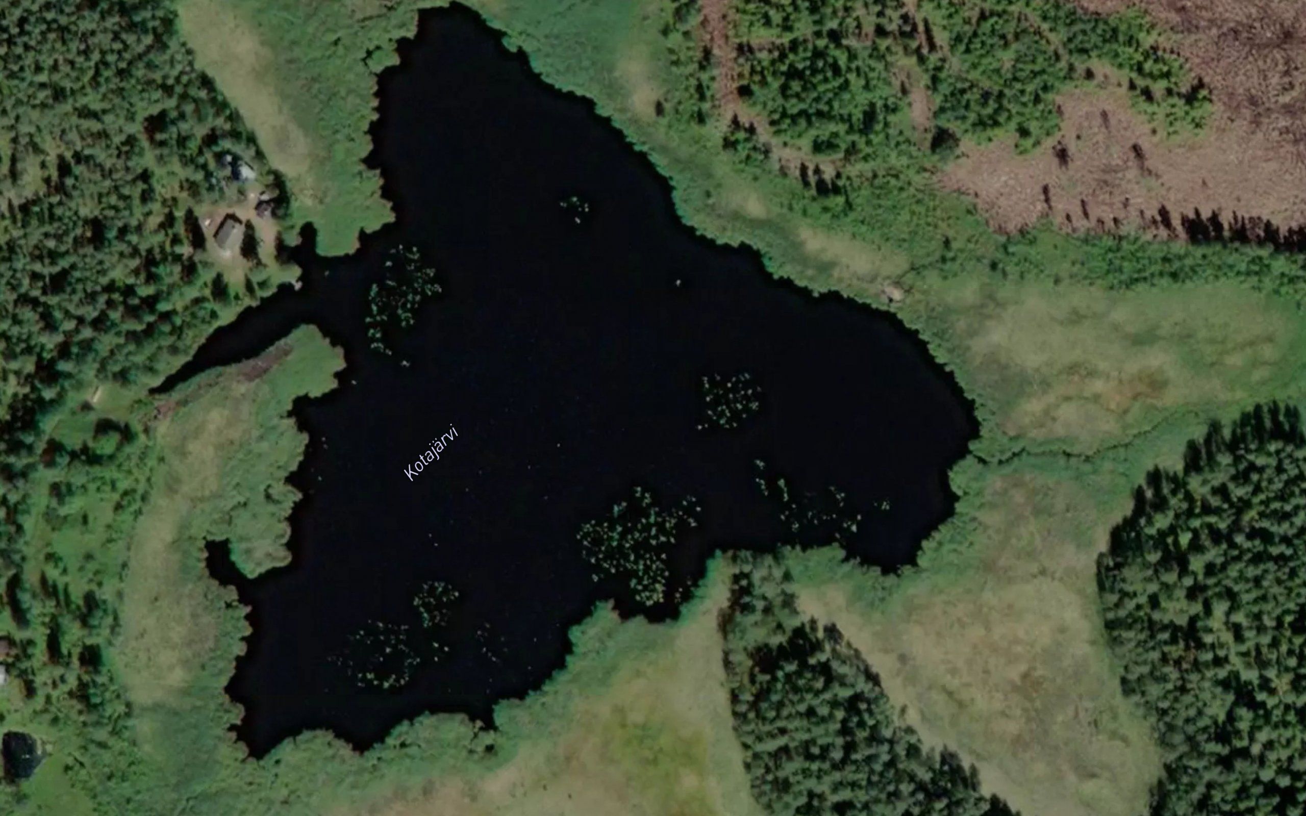 Kotajarvi