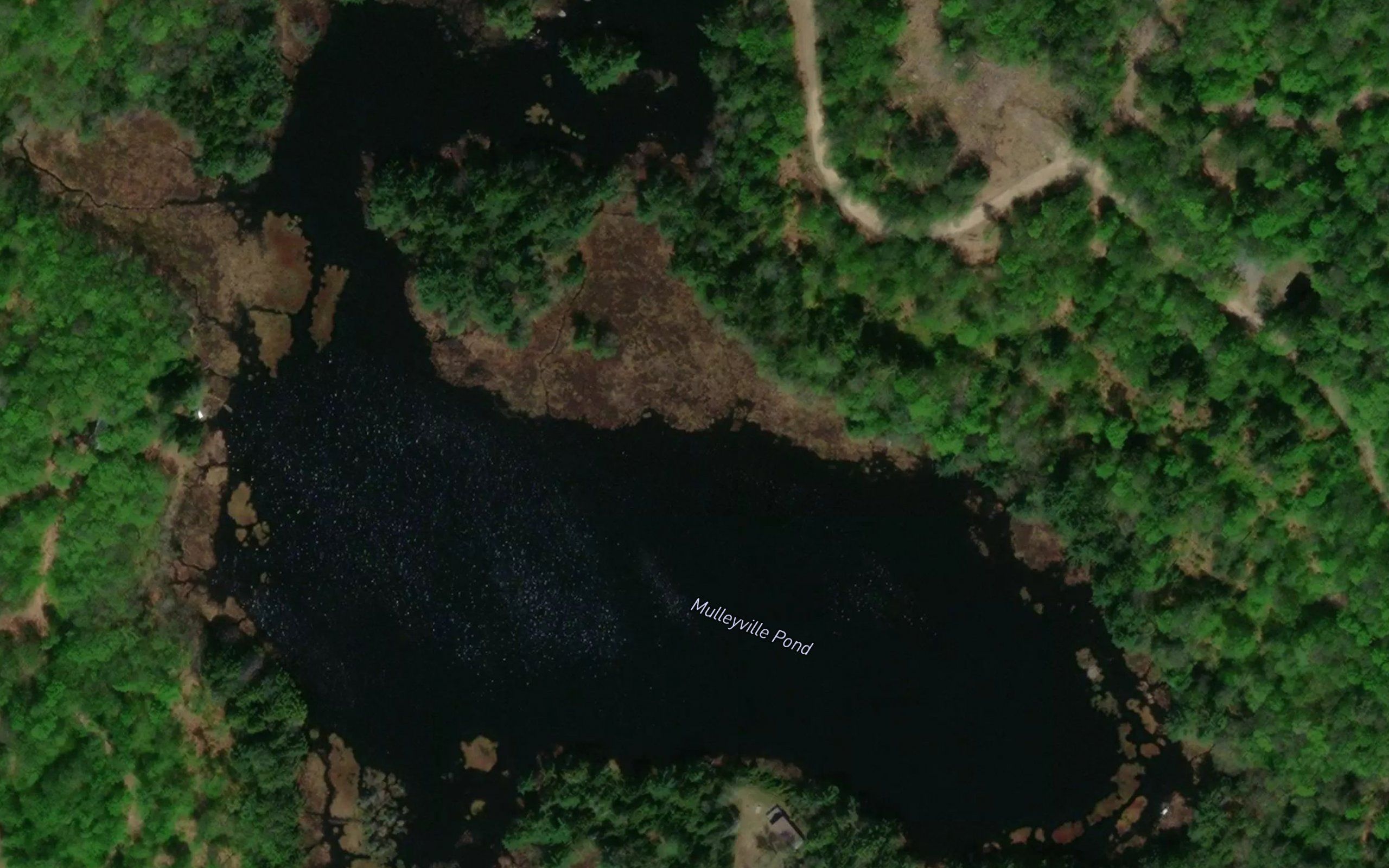 Mulleyville Pond