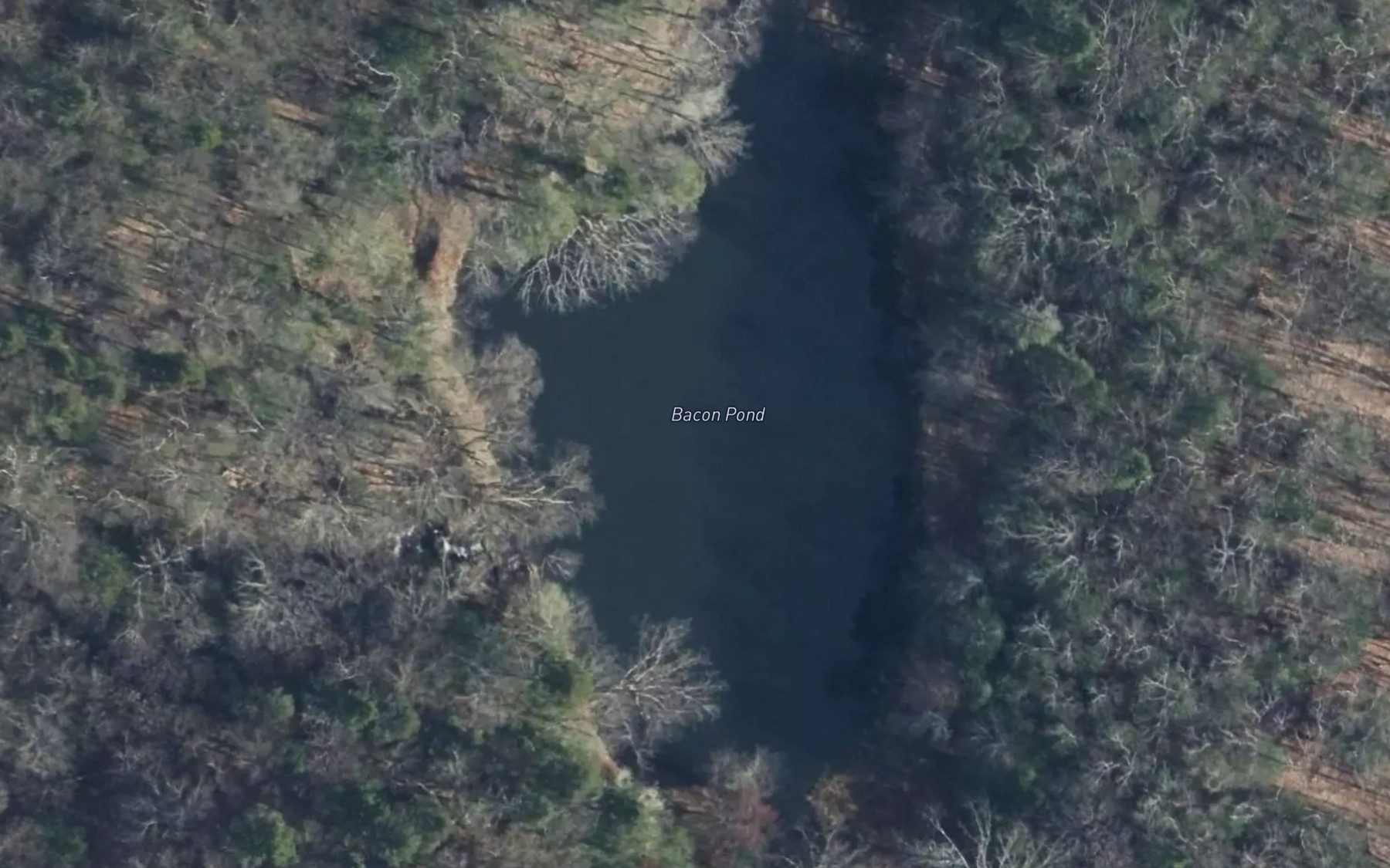 Satellite map of the Bacon Pond
