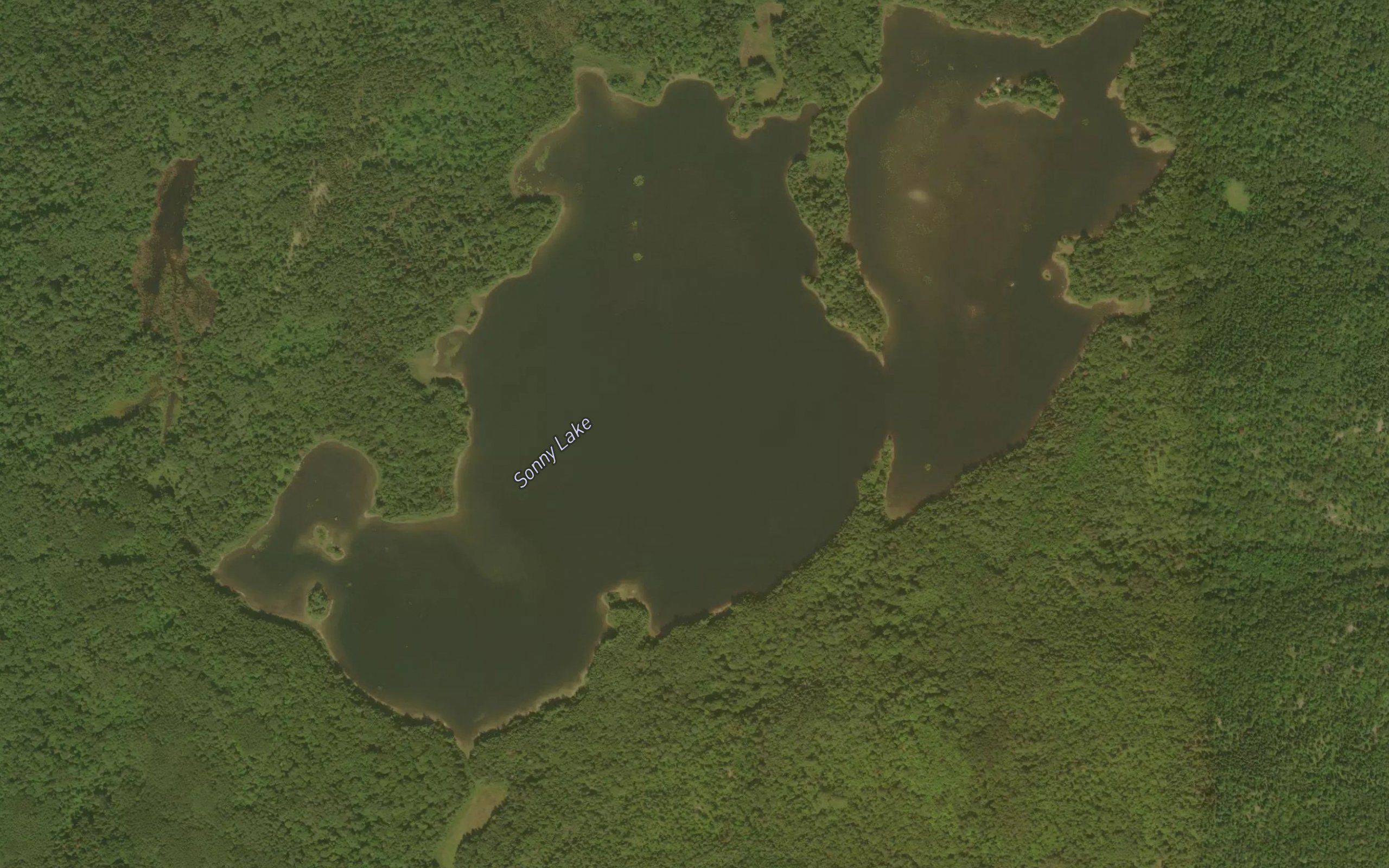 Sonny Lake
