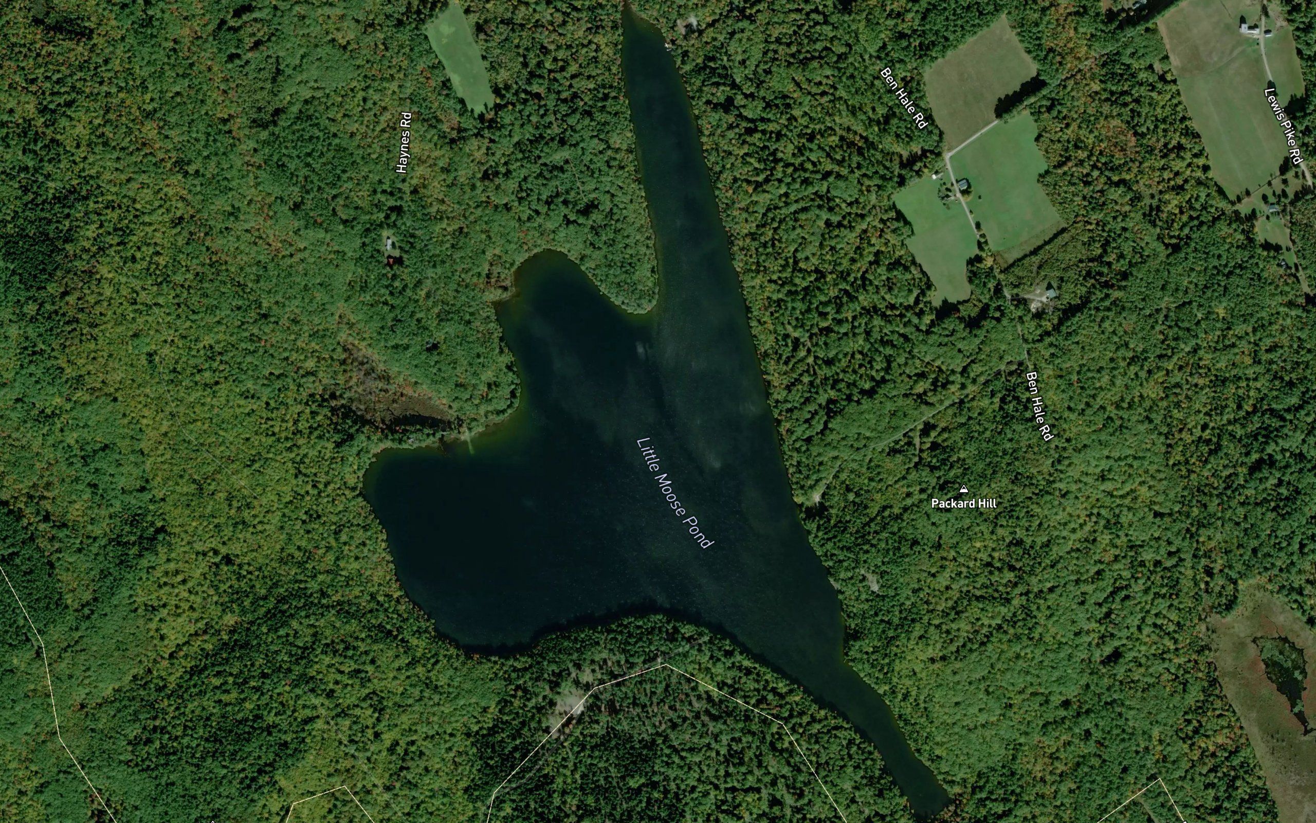 Little Loose Pond