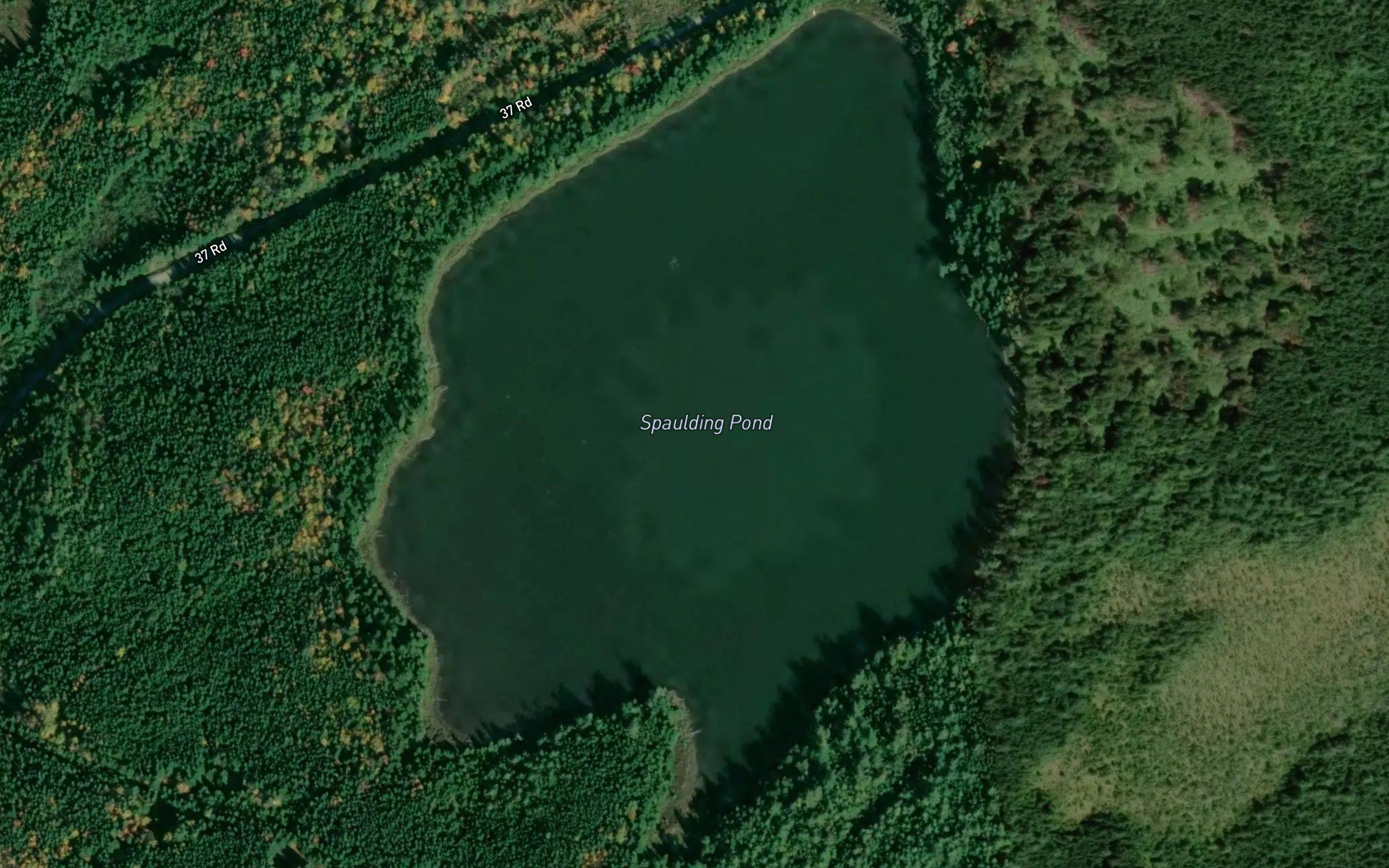 Spaulding Pond
