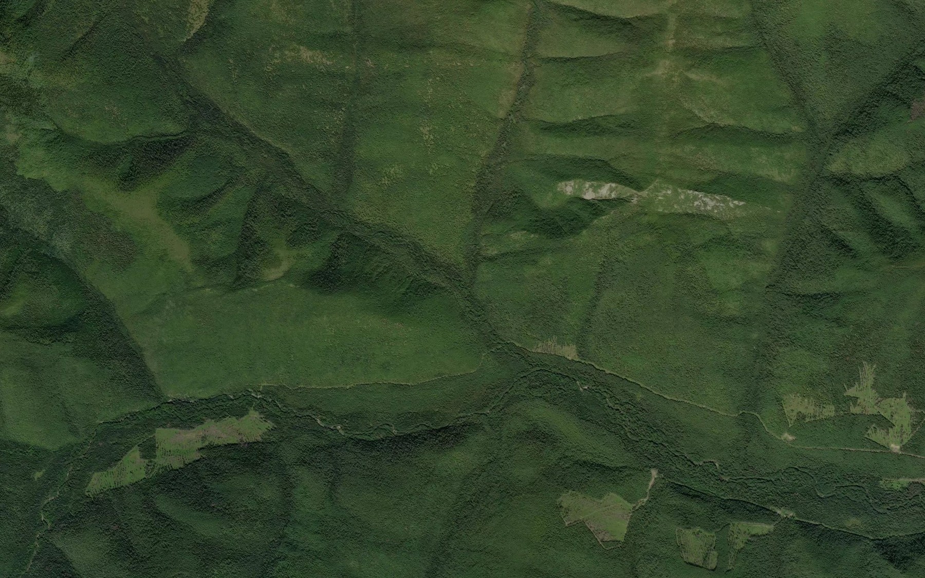 Satellite map of the Skal'nyy
