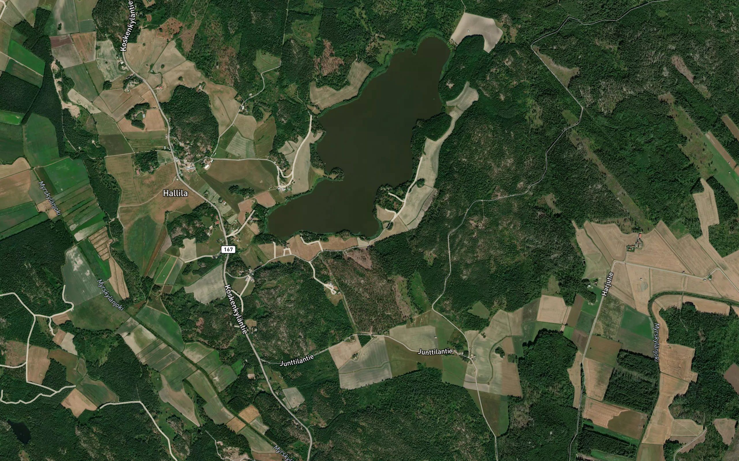 Jouksviken