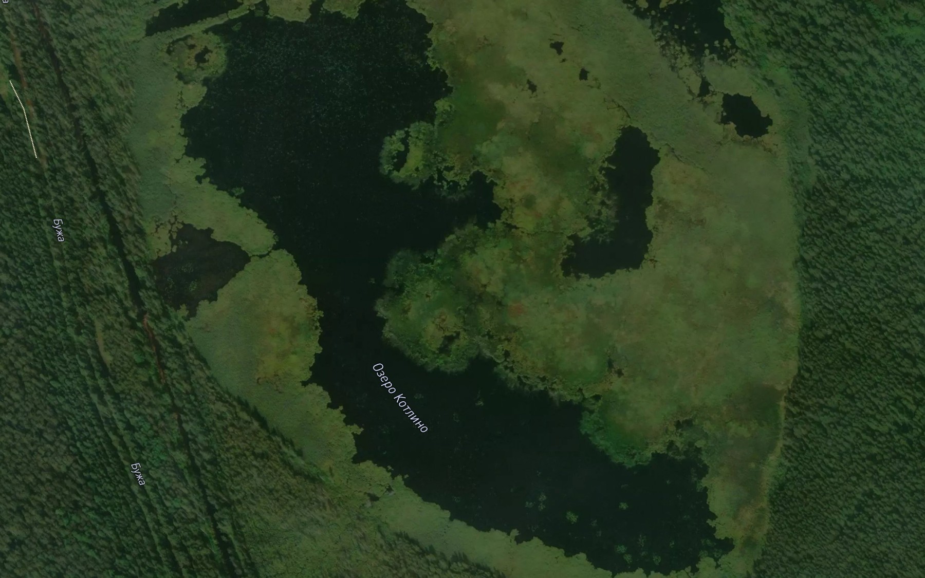 Satellite map of the Ozero Kopshino