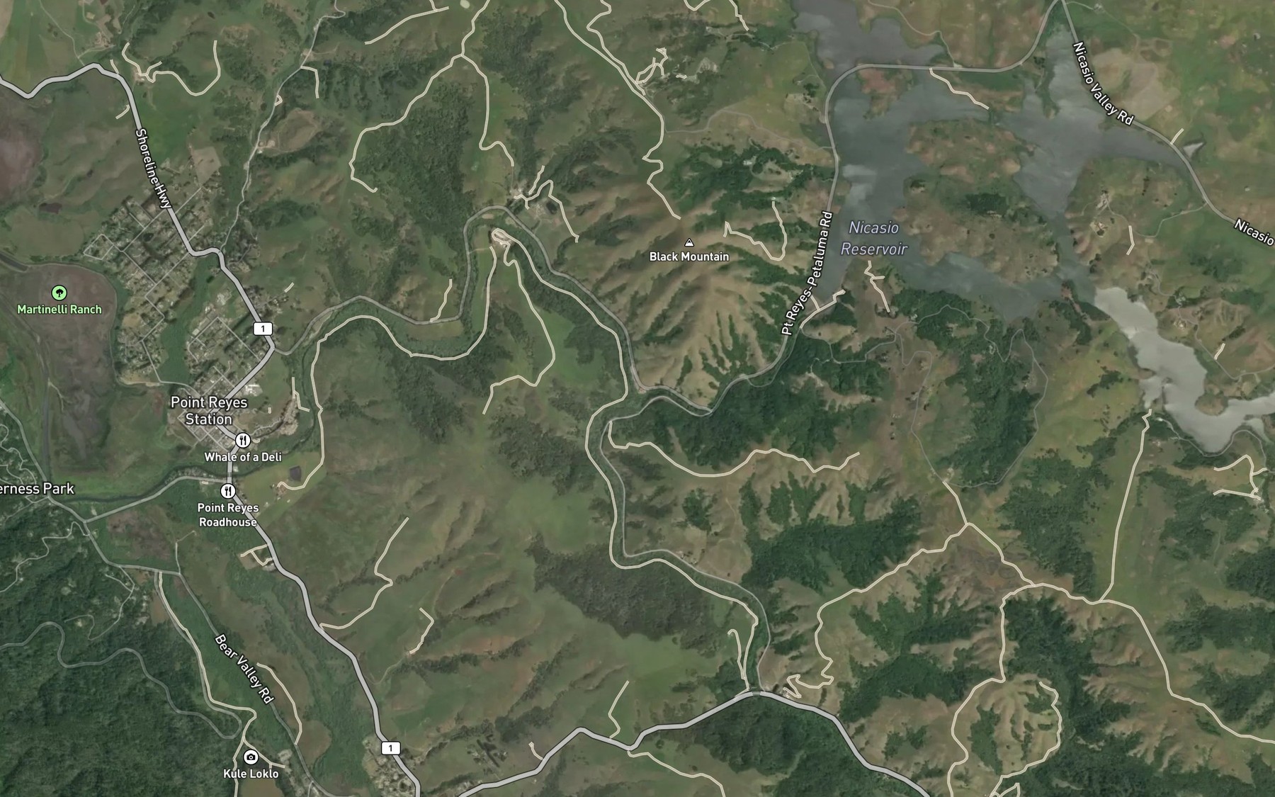 Satellite map of the Nicasio Creek