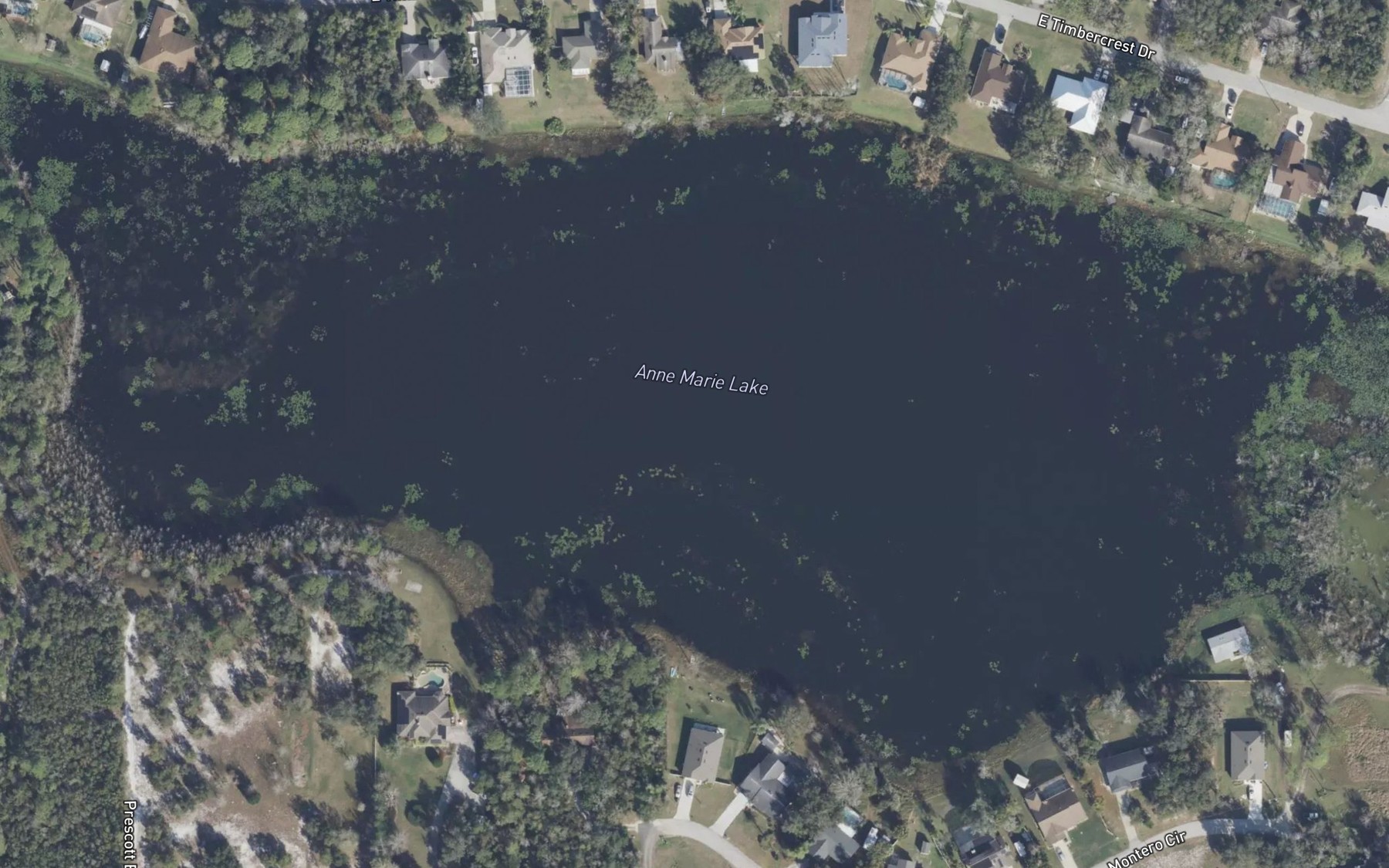 Satellite map of the Anne Marie Lake