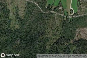 Brandsargrovi