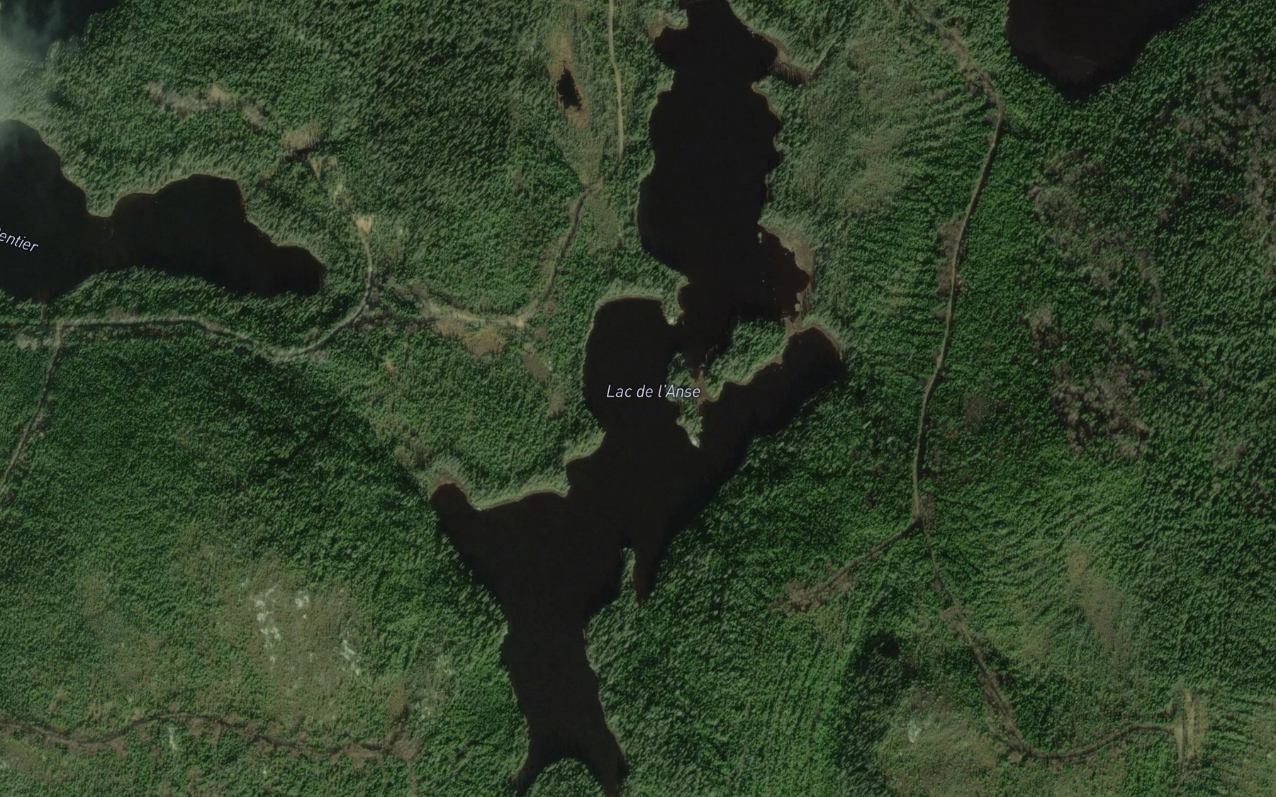 Satellite map of the Lac de l'Anse