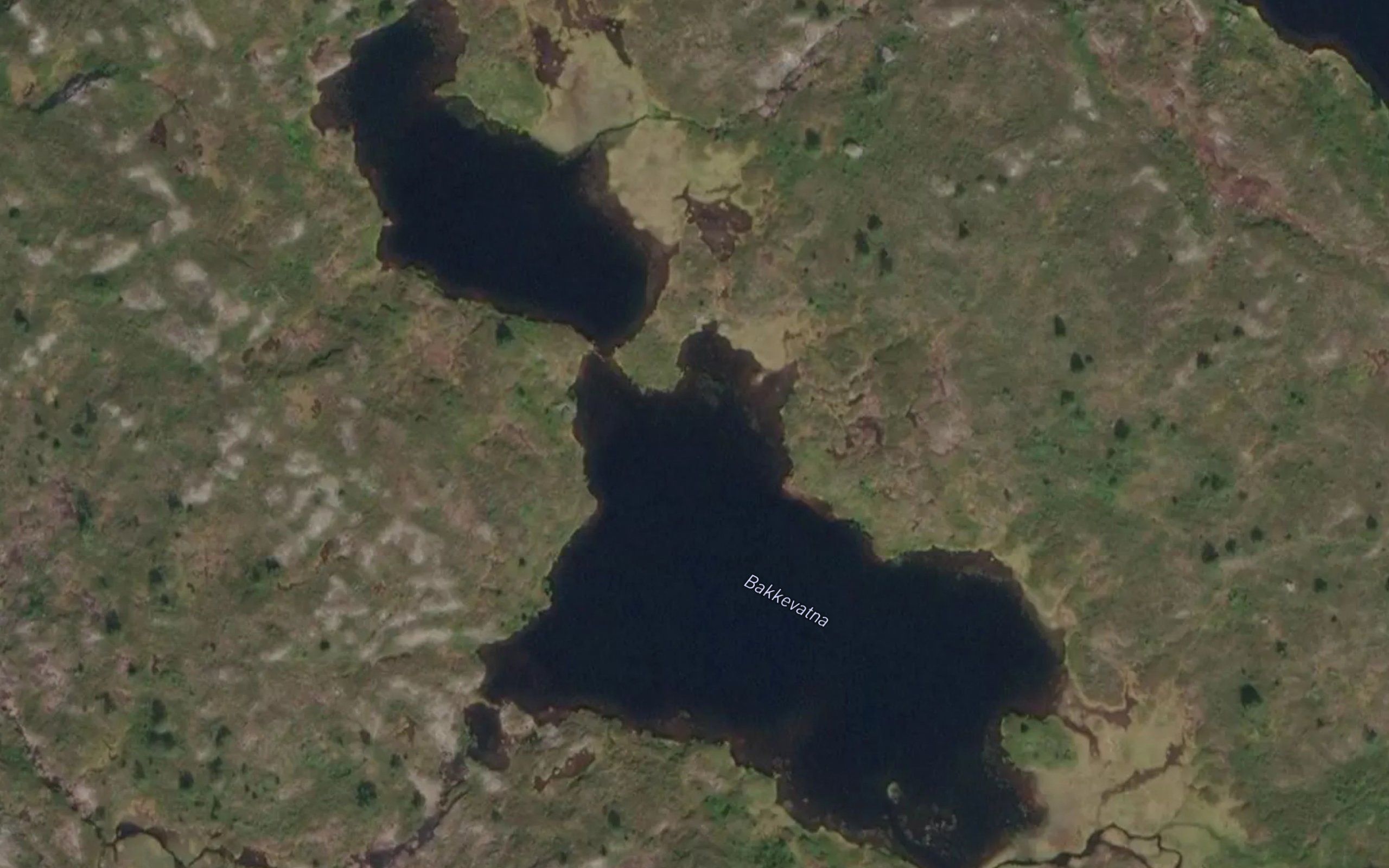 Bakkevatna