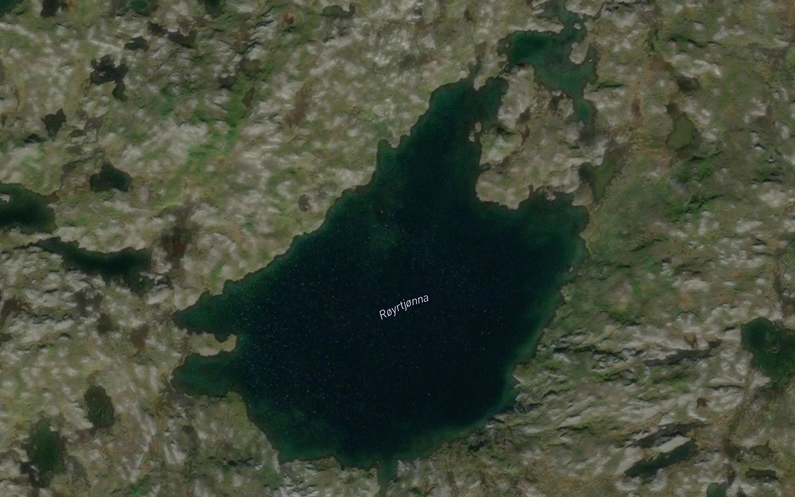 Royrtjorna