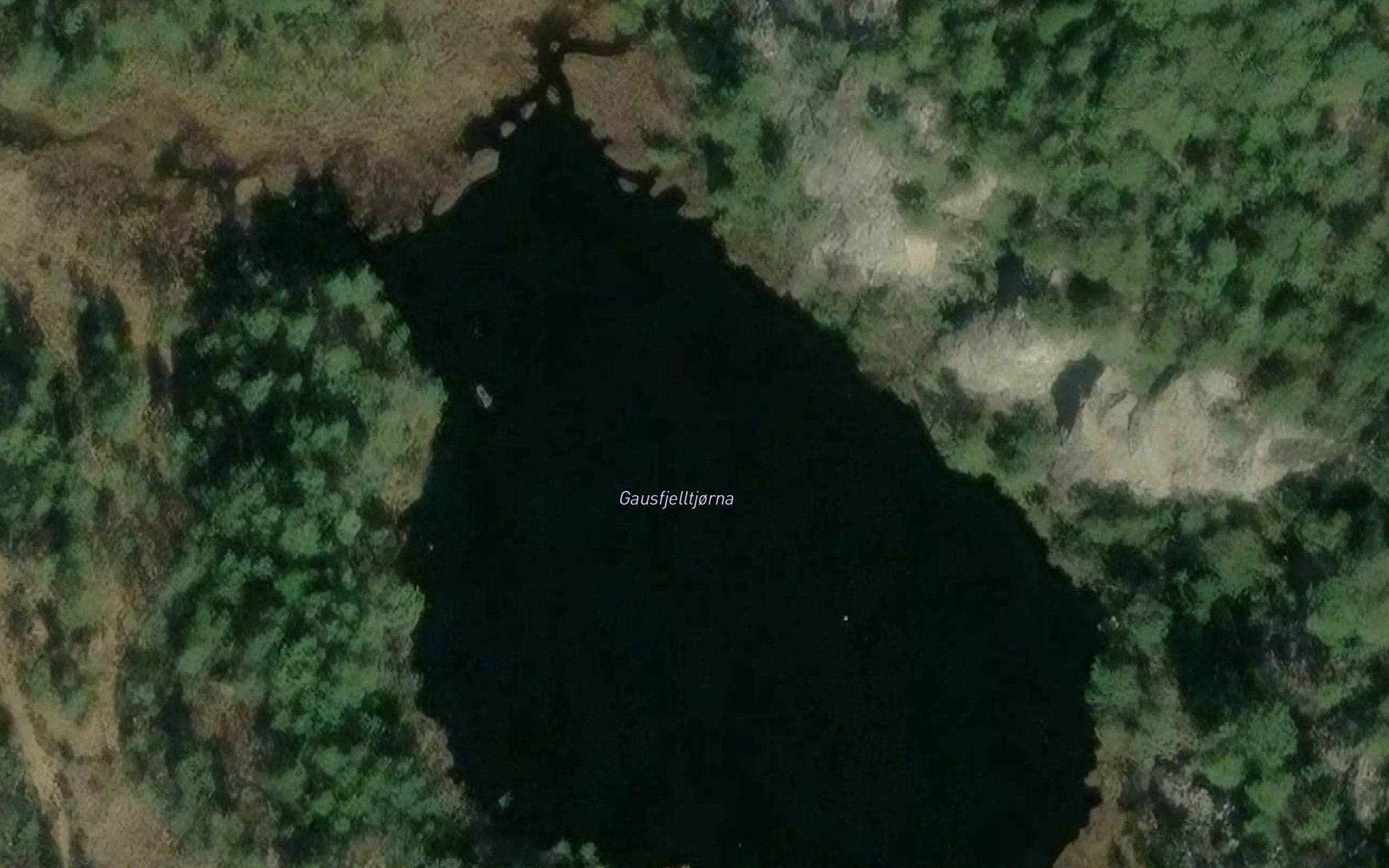 Gausfjelltjorna